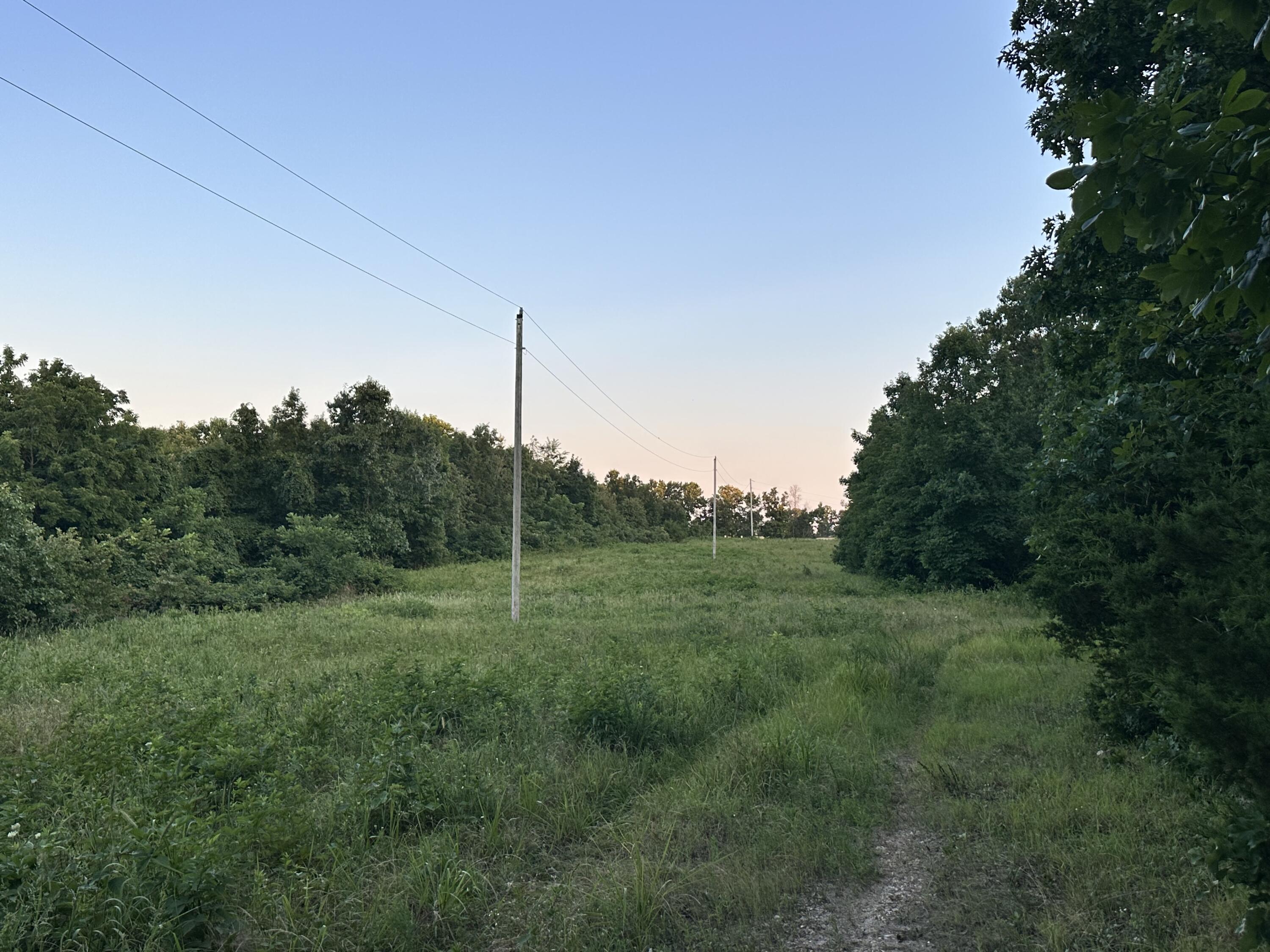 Photo 25 - Land for sale – 000  County Road 304   Alton, MO