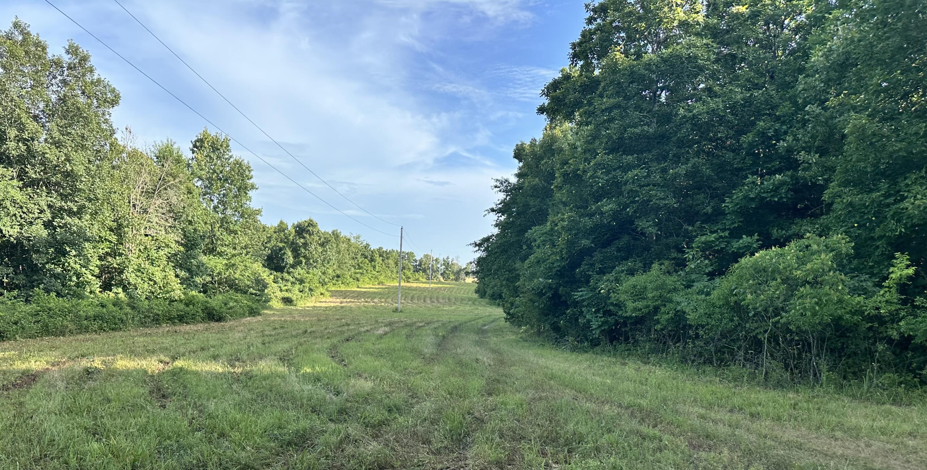 Photo 6 - Land for sale – 000  County Road 304   Alton, MO