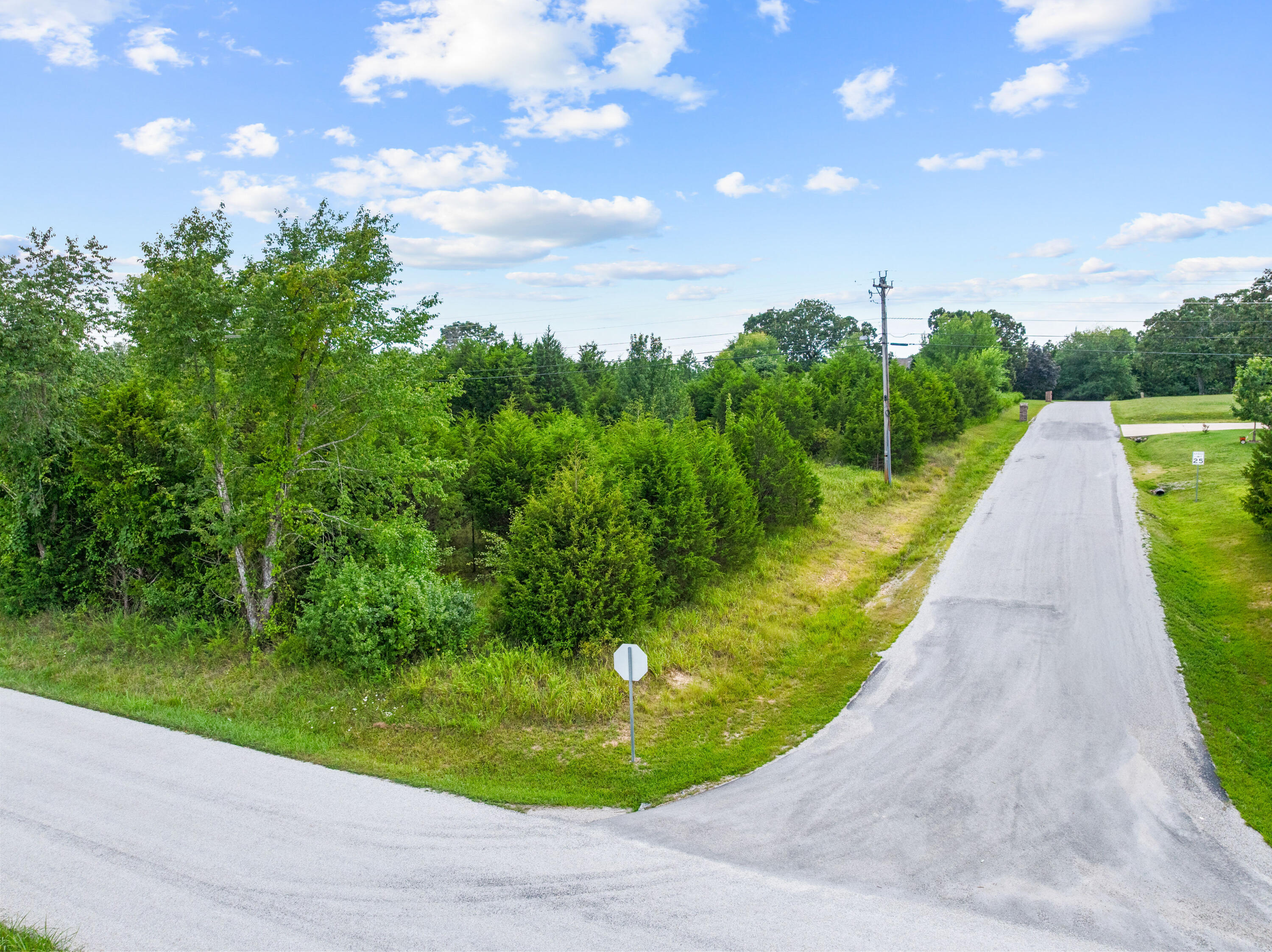 Photo 6 - Land for sale – 000  Lookout Ridge   Branson, MO