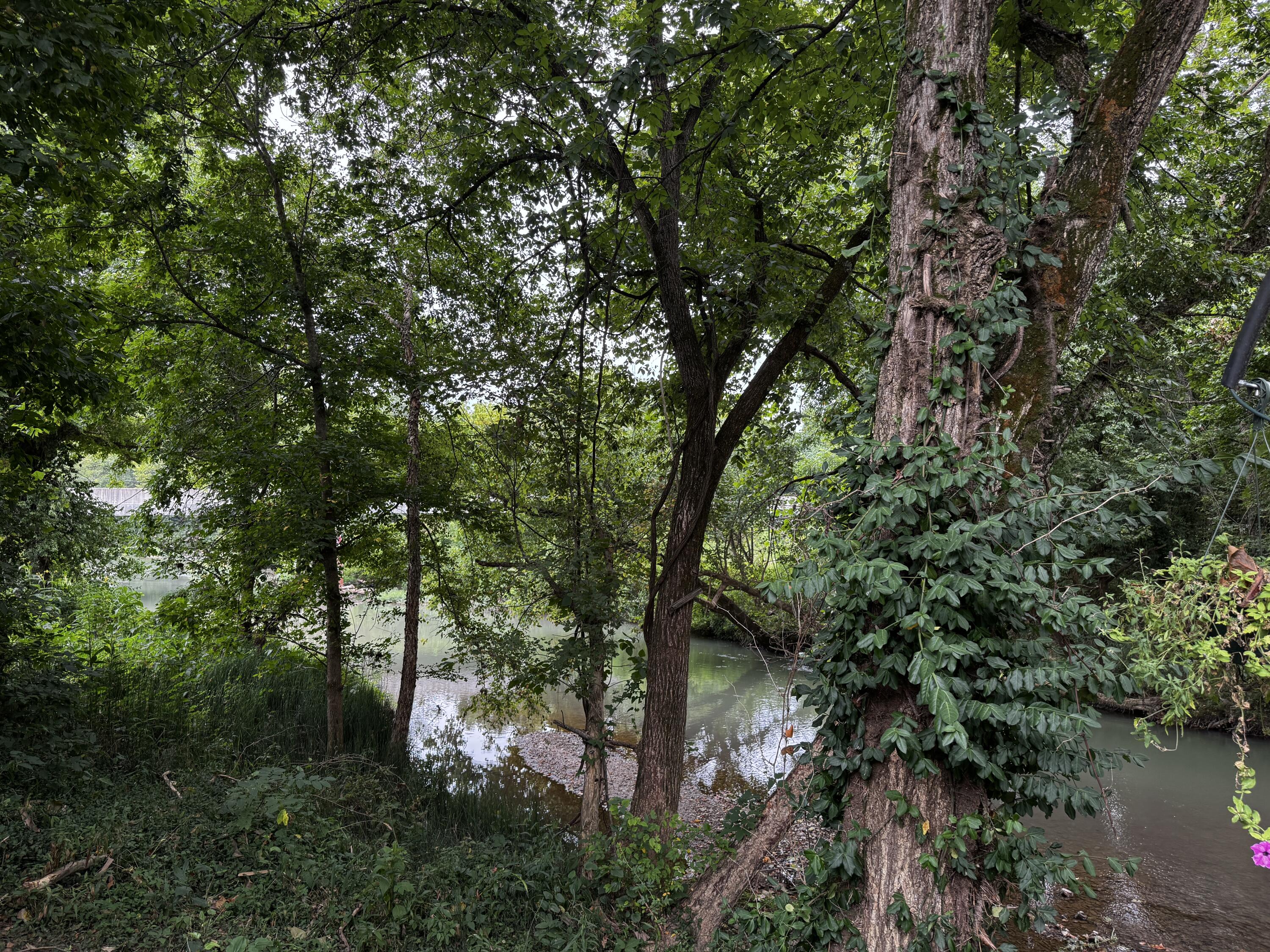 Photo 23 - Residential for sale – 201  Thomas Street  Birch Tree, MO