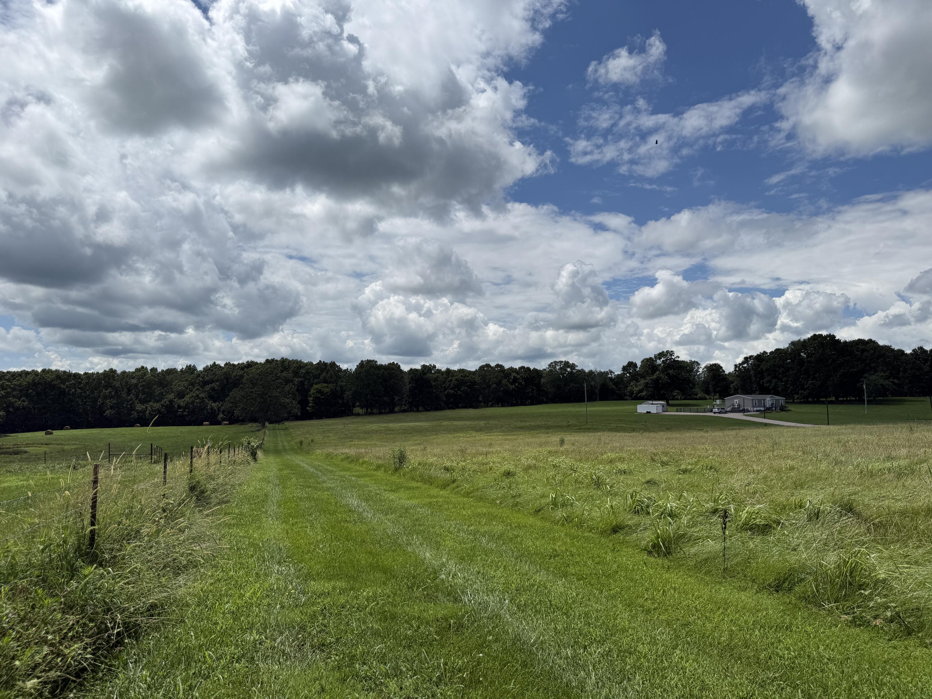 Photo 2 - Land for sale – 2149  State Route W   Mountain View, MO