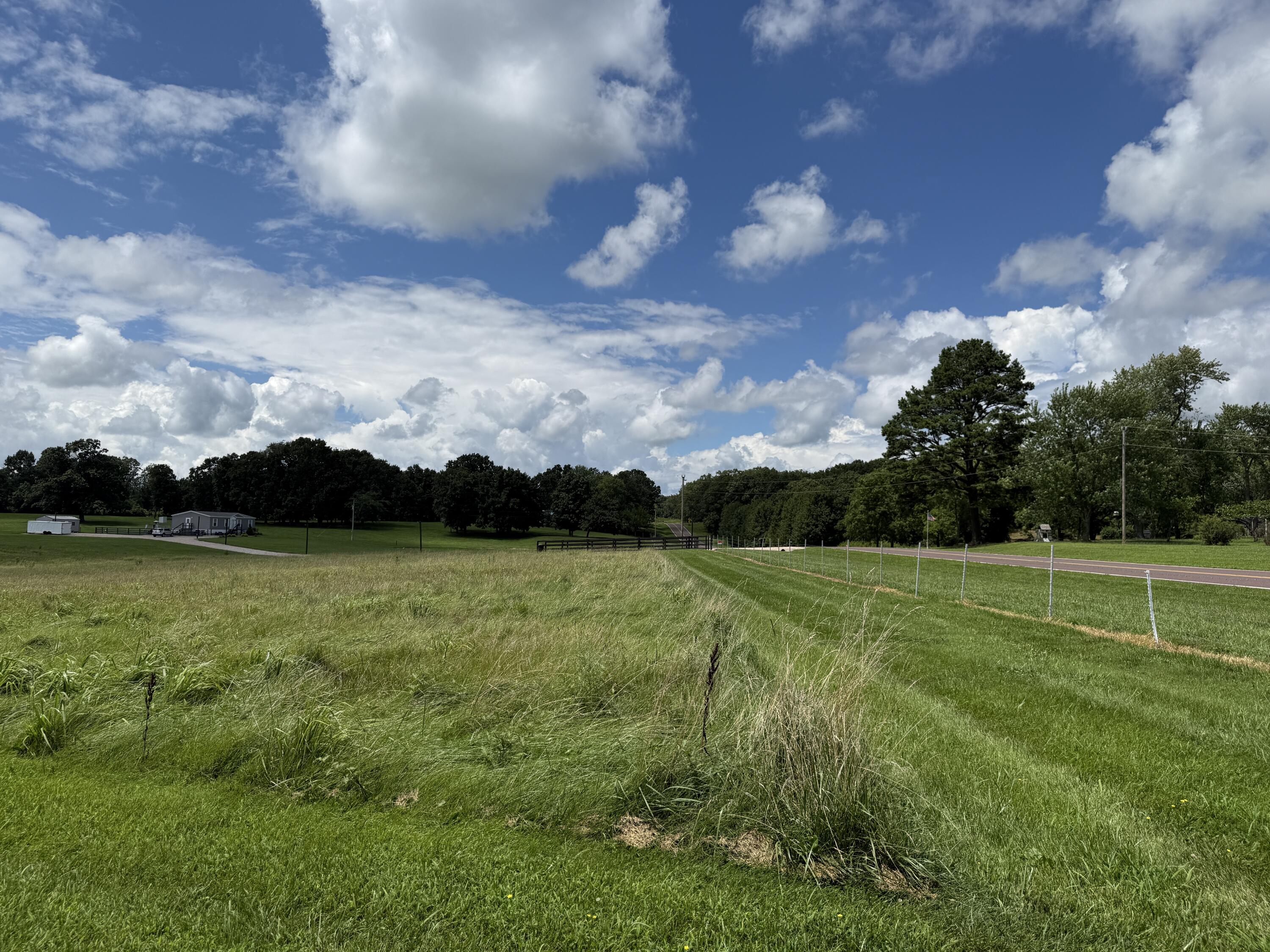 Photo 3 - Land for sale – 2149  State Route W   Mountain View, MO