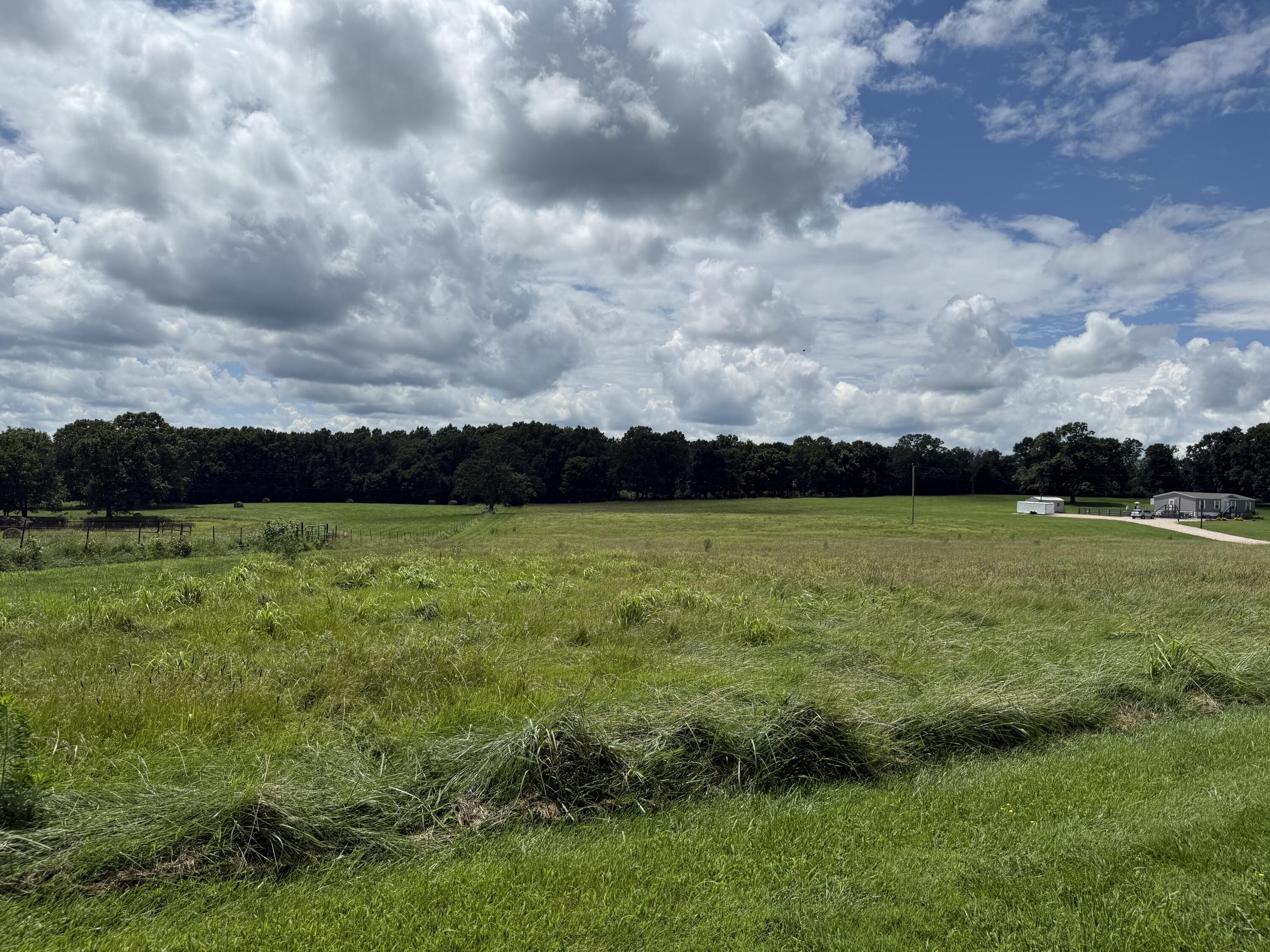 Photo 8 - Land for sale – 2149  State Route W   Mountain View, MO