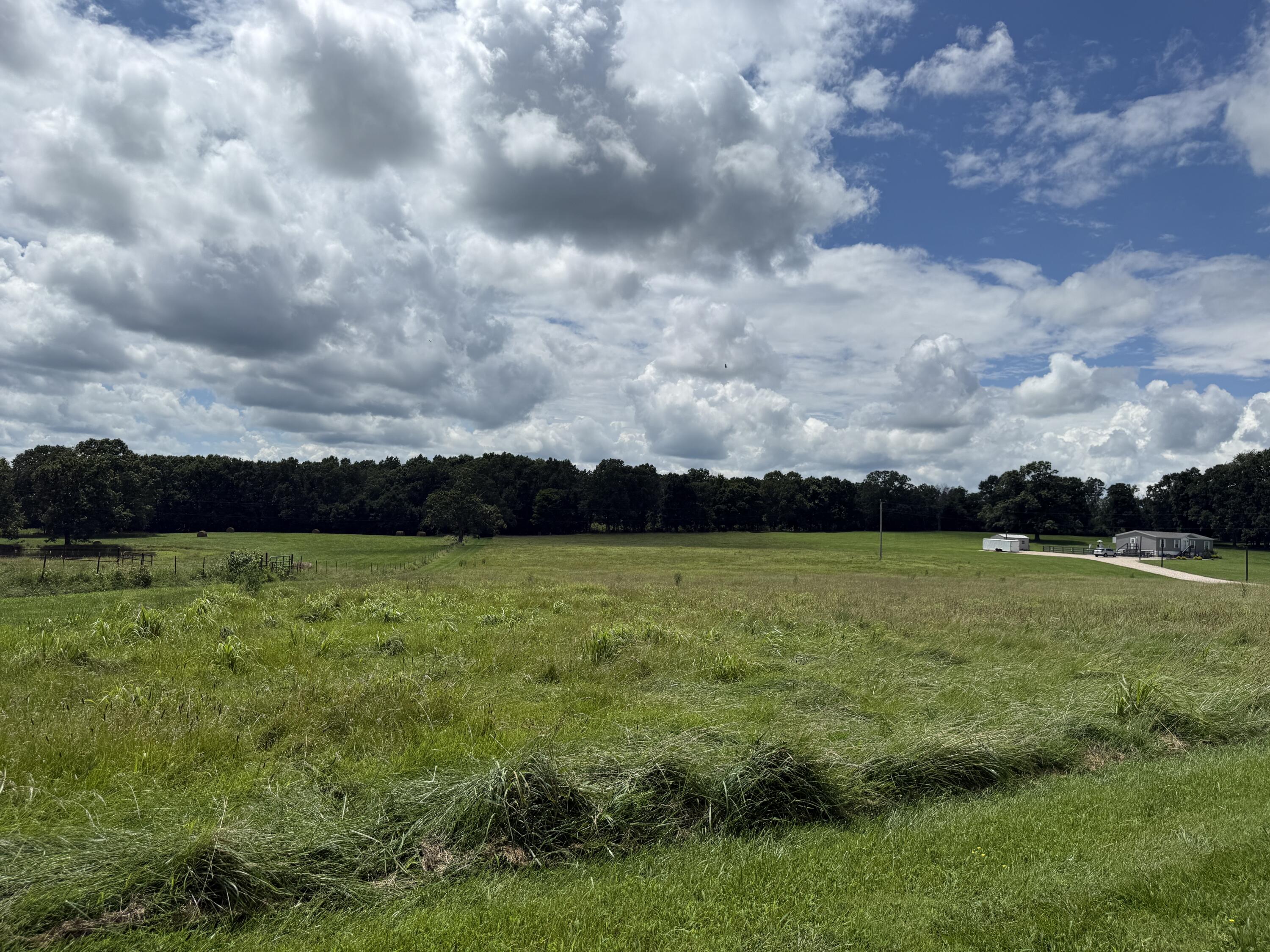 Photo 7 - Land for sale – 2149  State Route W   Mountain View, MO