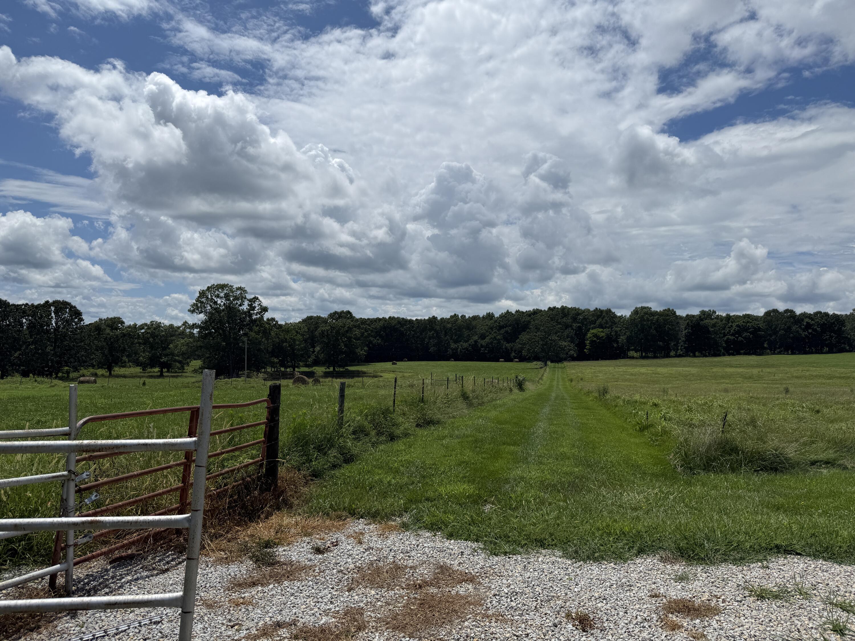 Photo 11 - Land for sale – 2149  State Route W   Mountain View, MO