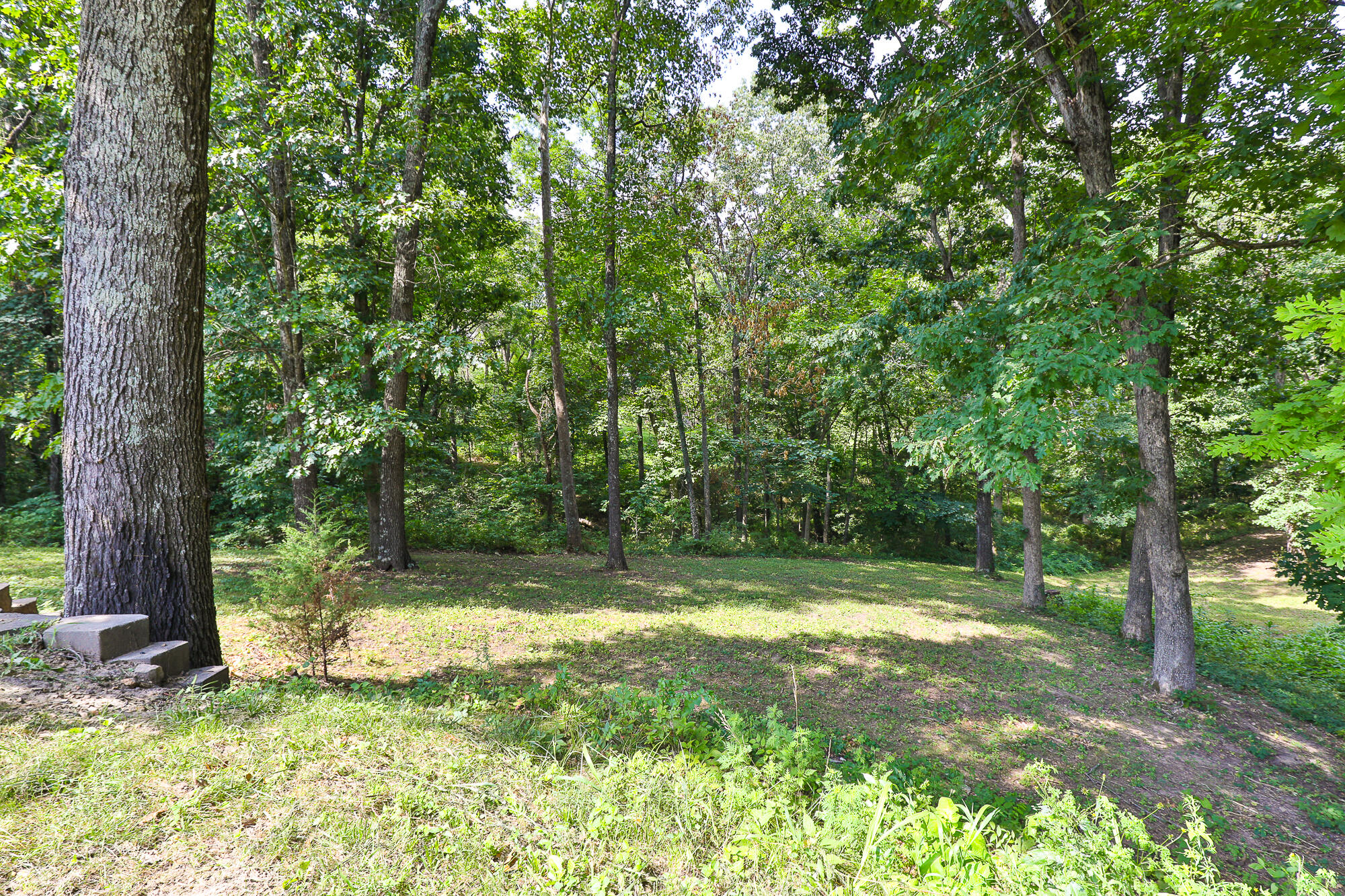 Photo 46 - Residential for sale – 1657 S Timber Lake Drive  Nixa, MO
