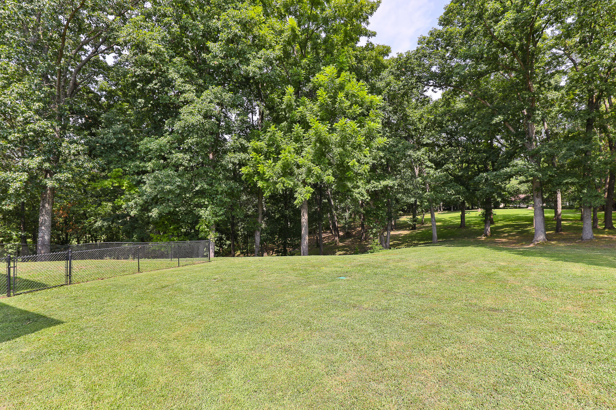Photo 44 - Residential for sale – 1657 S Timber Lake Drive  Nixa, MO