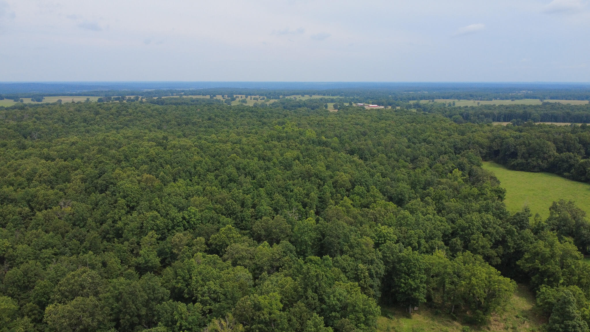 Photo 6 - Residential for sale – 3899  County Road 304   Alton, MO