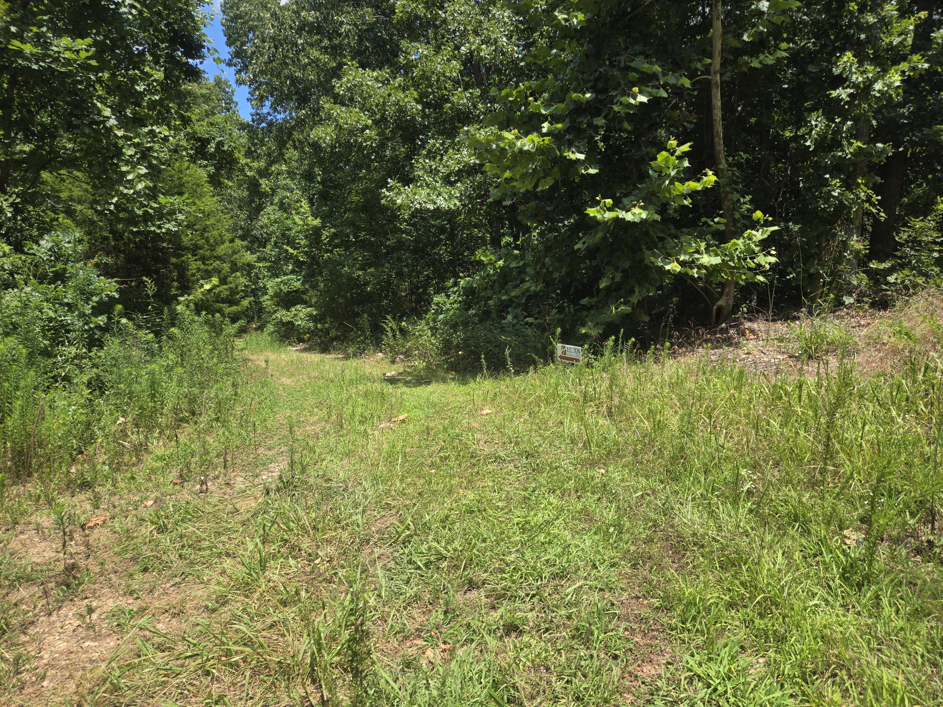 Photo 8 - Land for sale – Tract 8  Highway C   Purdy, MO