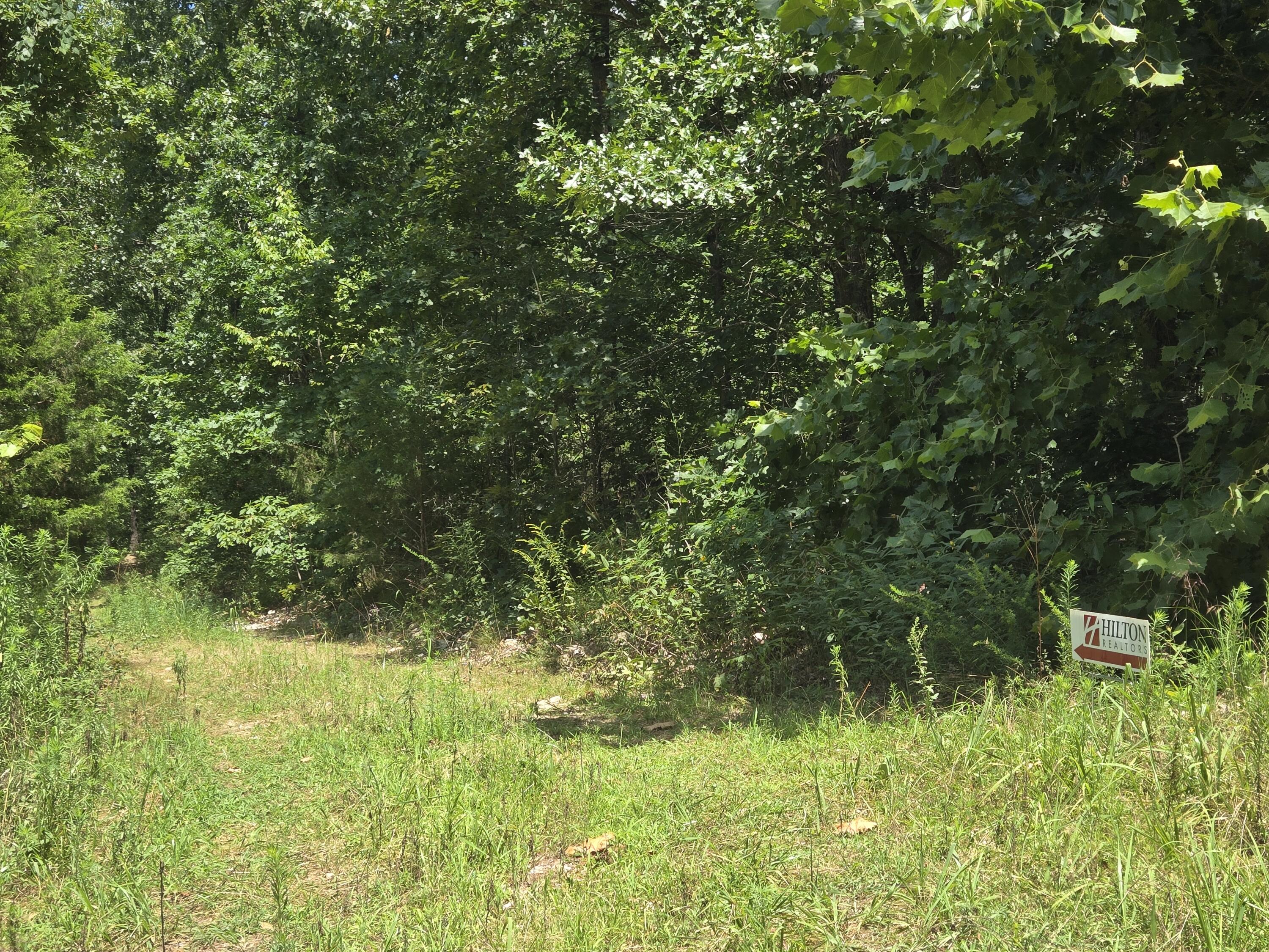 Photo 9 - Land for sale – Tract 8  Highway C   Purdy, MO
