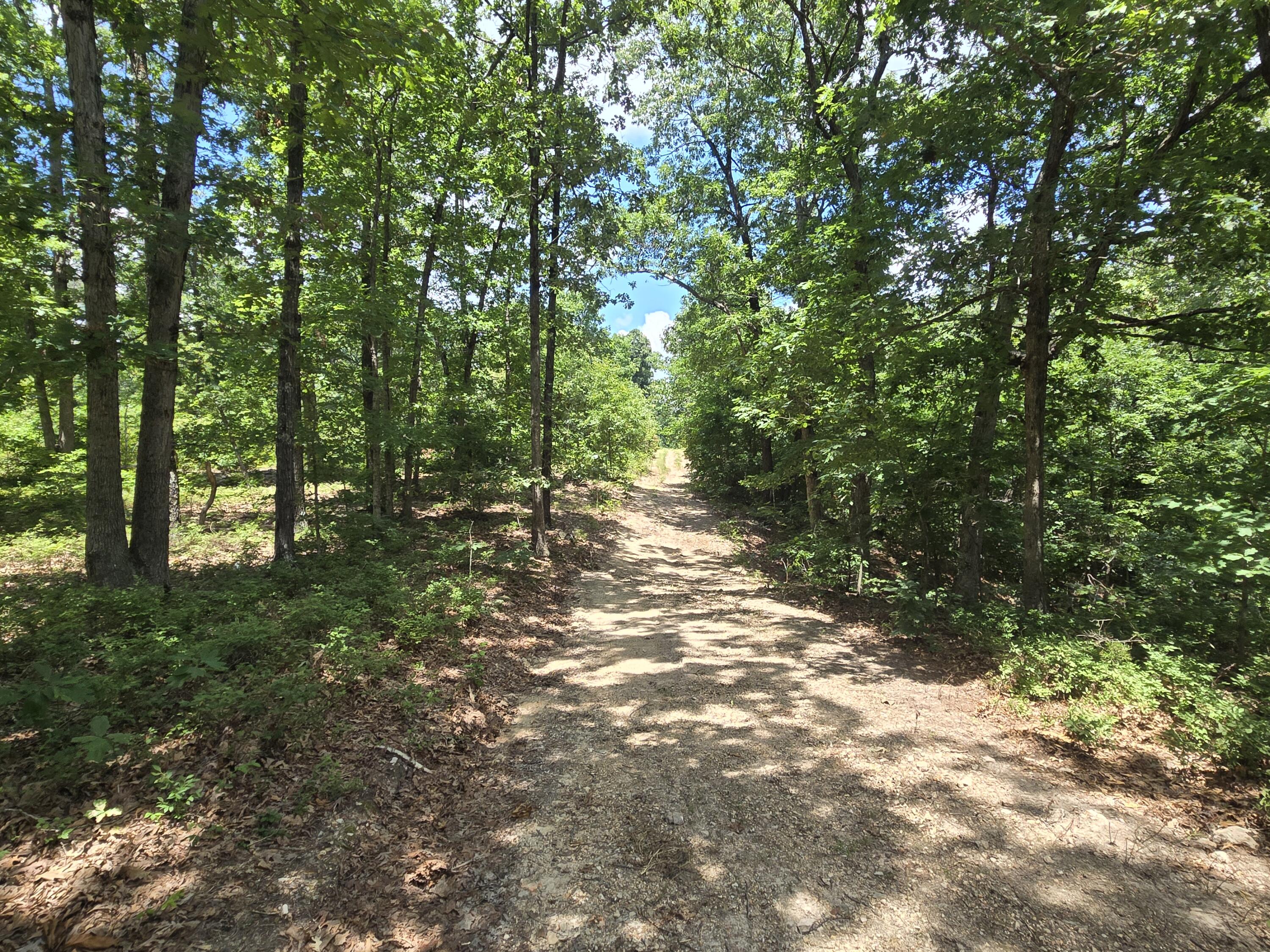 Photo 2 - Land for sale – Tract 8  Highway C   Purdy, MO