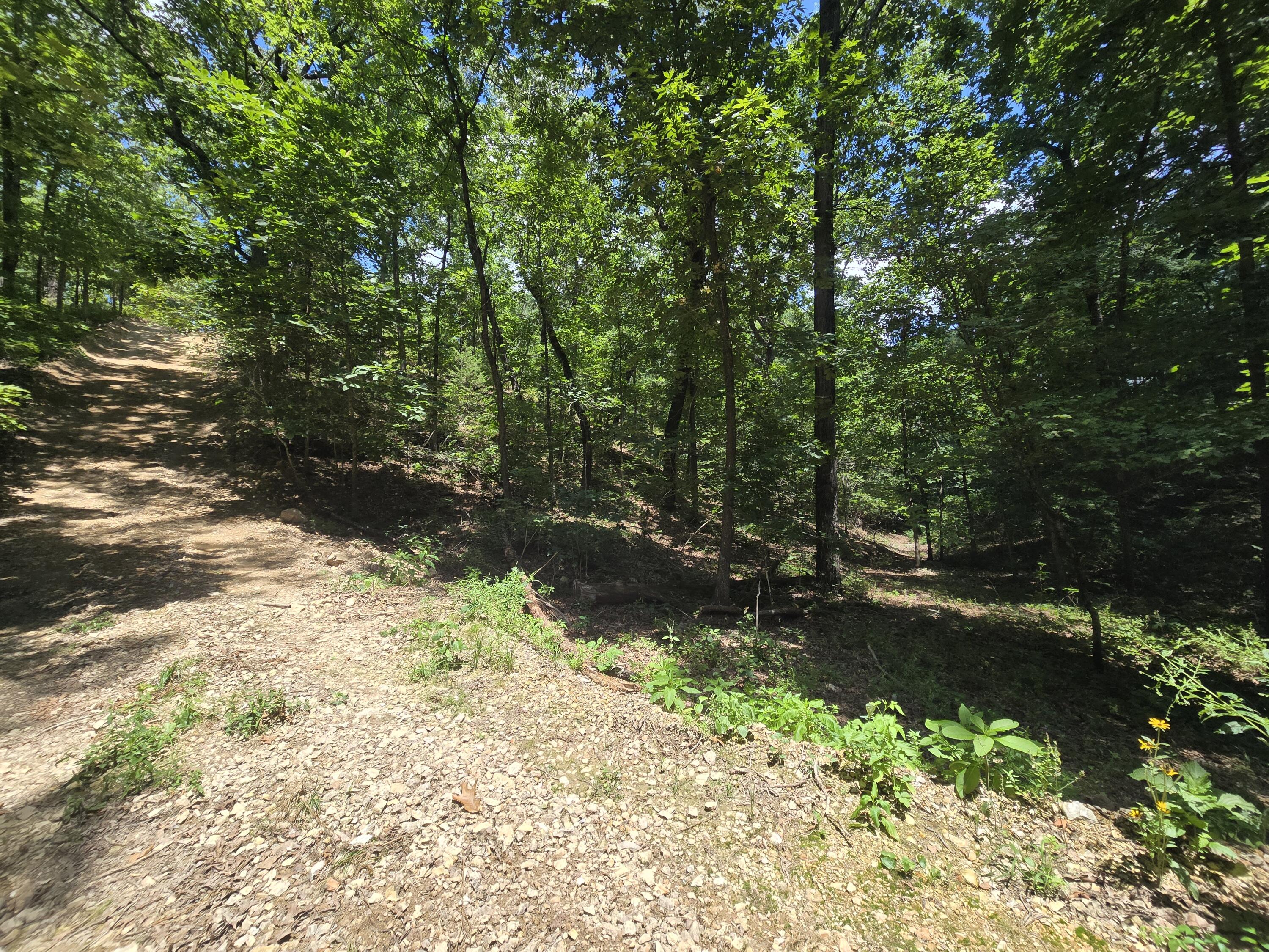Photo 6 - Land for sale – Tract 8  Highway C   Purdy, MO