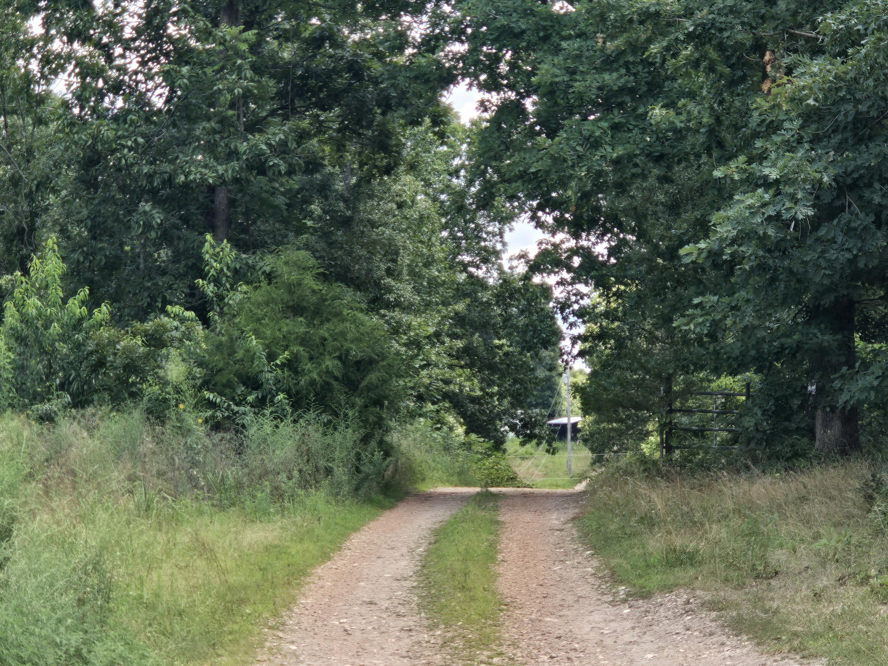 Photo 10 - Land for sale – Tract 8  Highway C   Purdy, MO