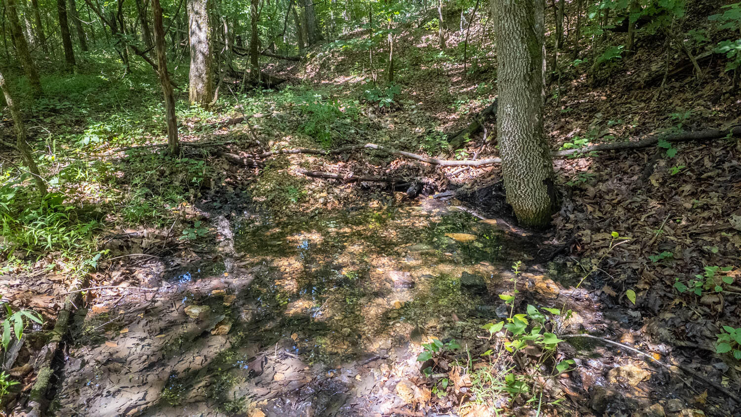 Photo 8 - Land for sale – 10824  Upper Janes Creek Road  Ravenden, AR