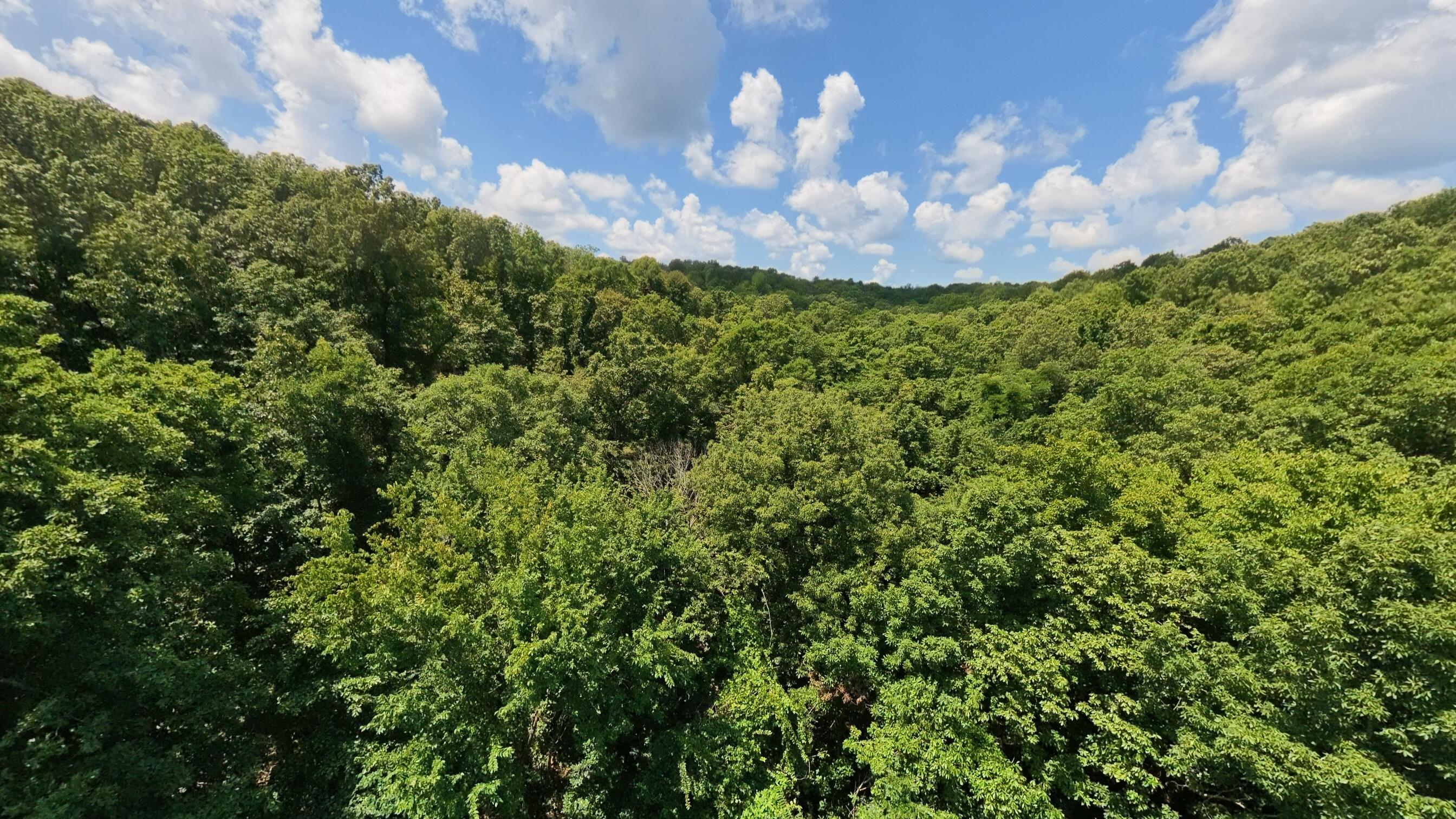 Photo 69 - Land for sale – 10824  Upper Janes Creek Road  Ravenden, AR