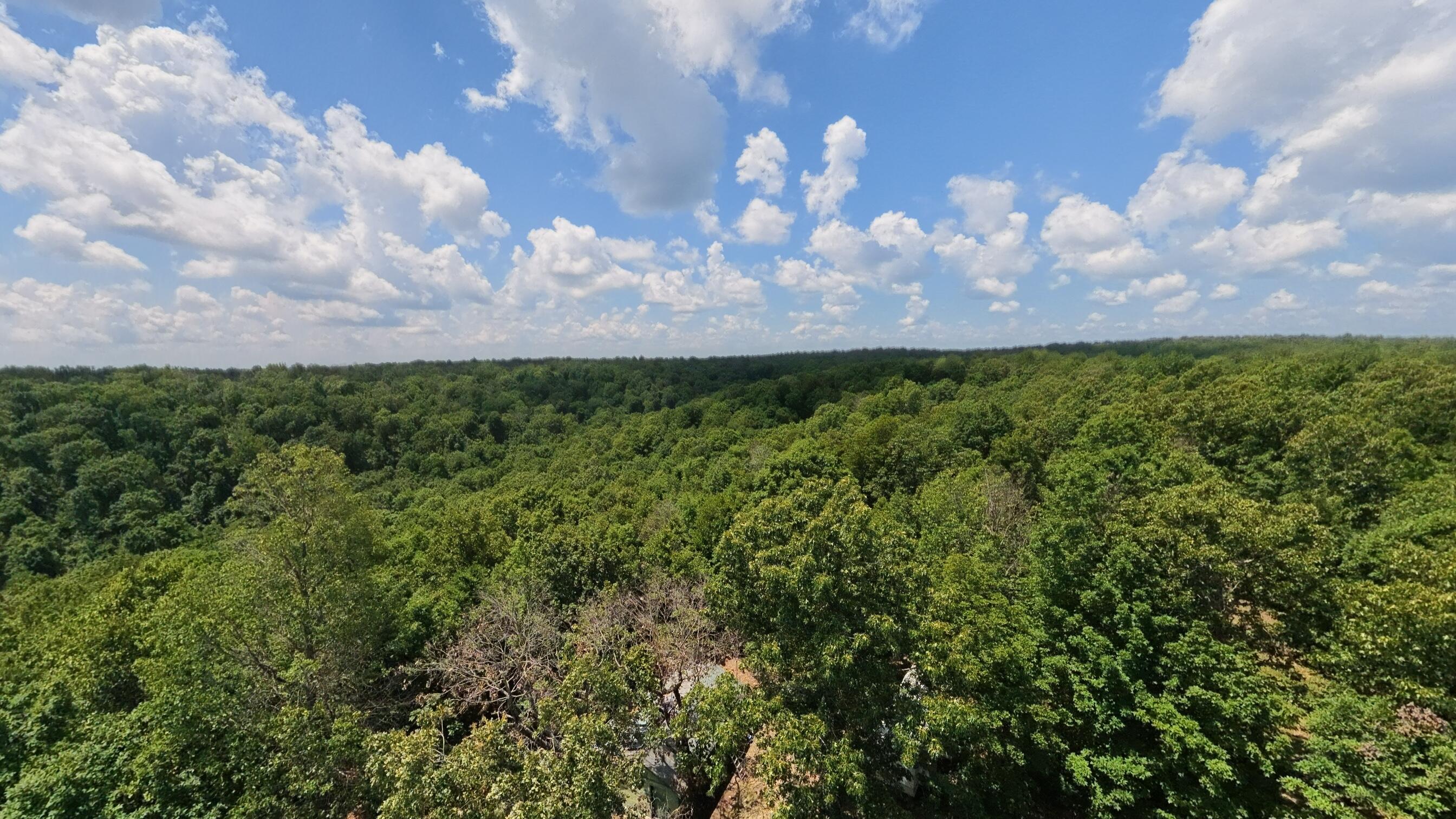 Photo 76 - Land for sale – 10824  Upper Janes Creek Road  Ravenden, AR
