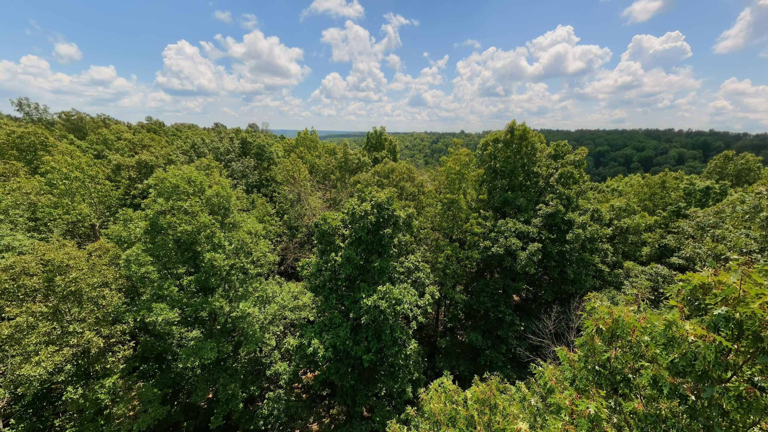 Photo 59 - Land for sale – 10824  Upper Janes Creek Road  Ravenden, AR