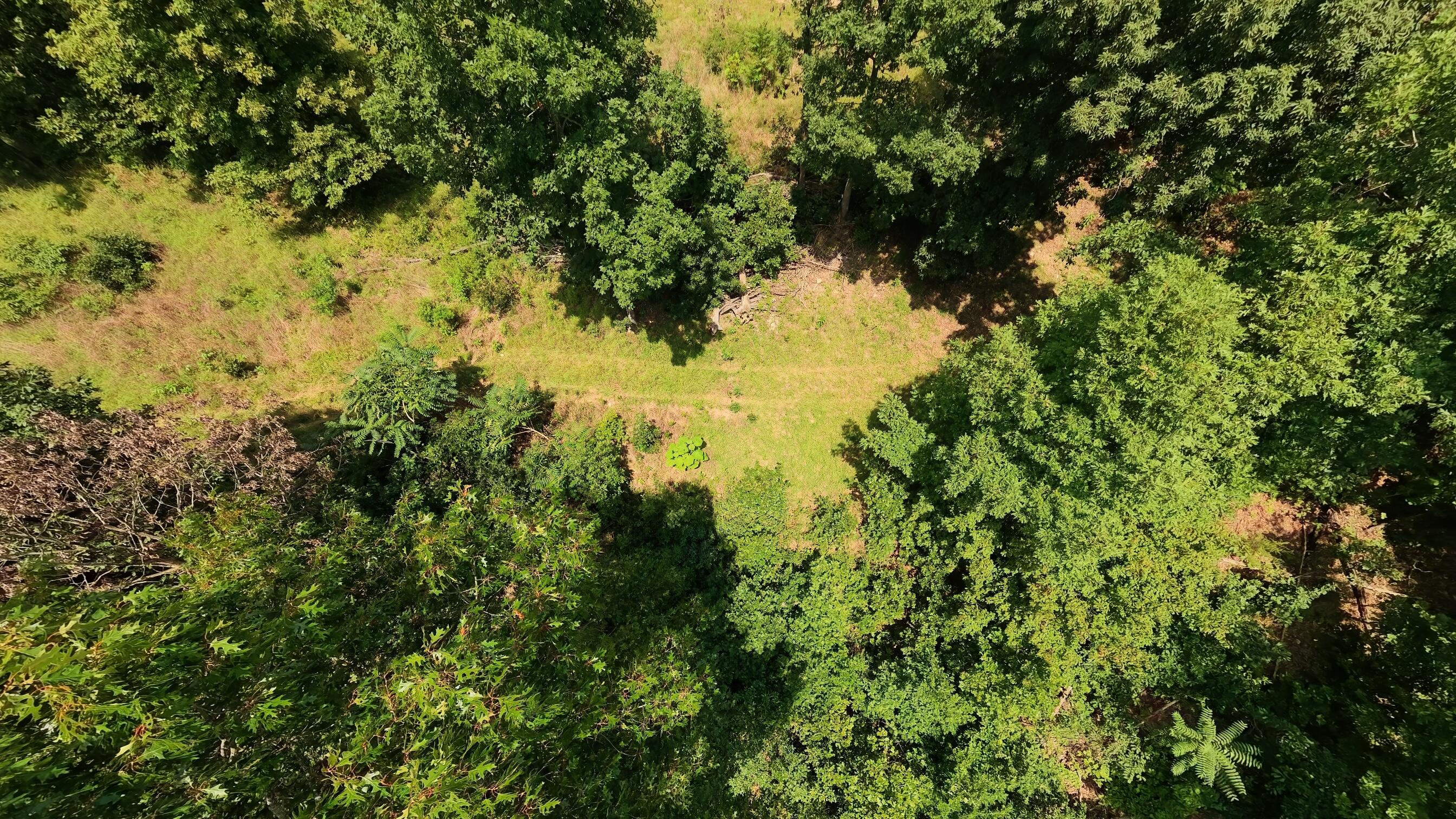 Photo 57 - Land for sale – 10824  Upper Janes Creek Road  Ravenden, AR
