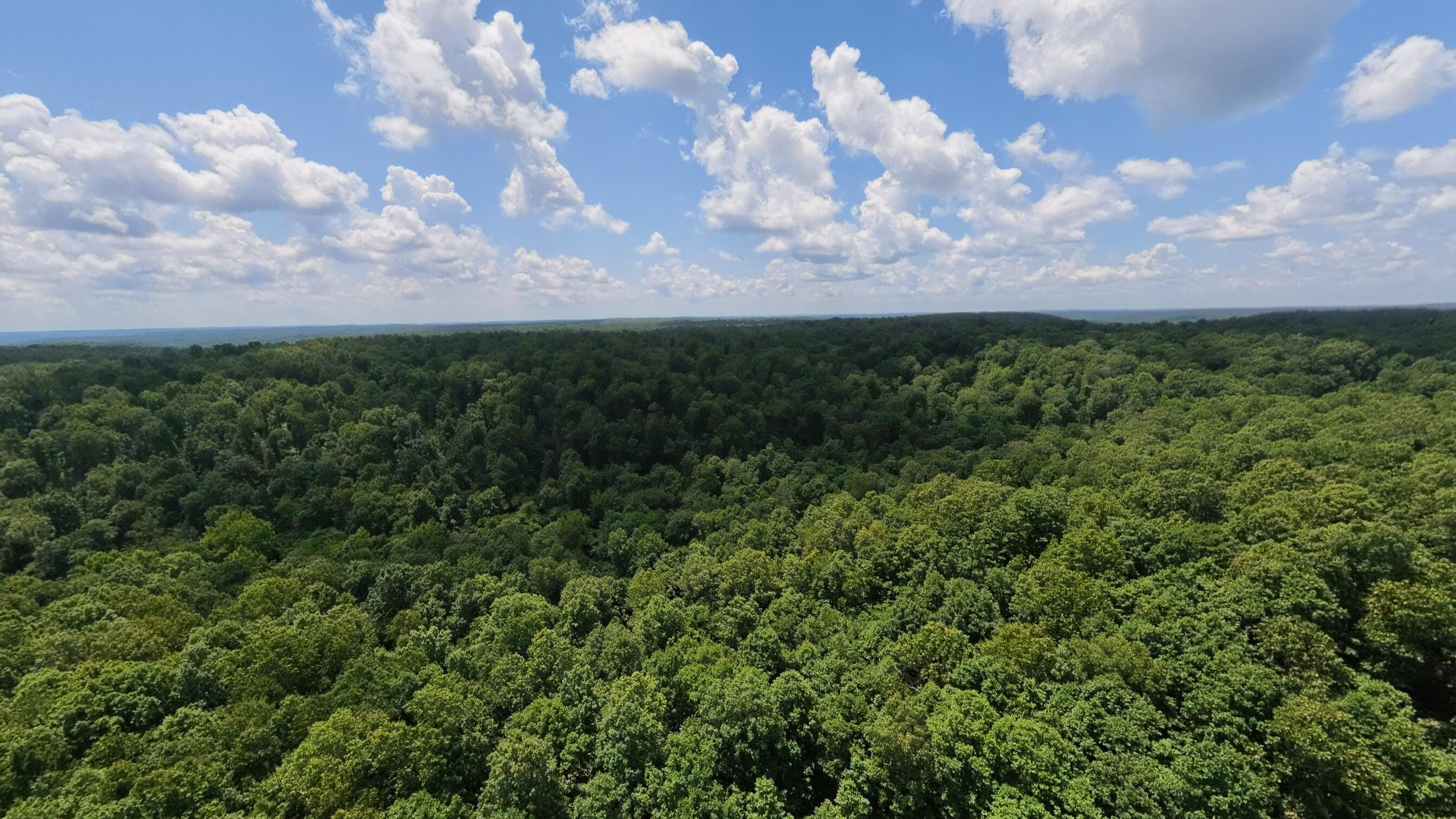 Photo 54 - Land for sale – 10824  Upper Janes Creek Road  Ravenden, AR
