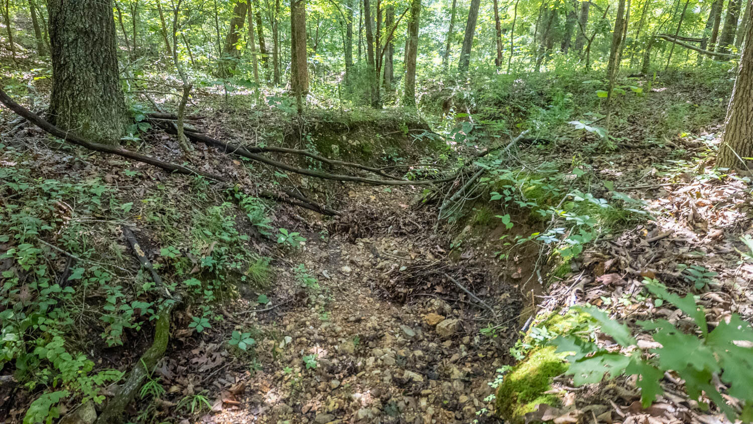 Photo 22 - Land for sale – 10824  Upper Janes Creek Road  Ravenden, AR