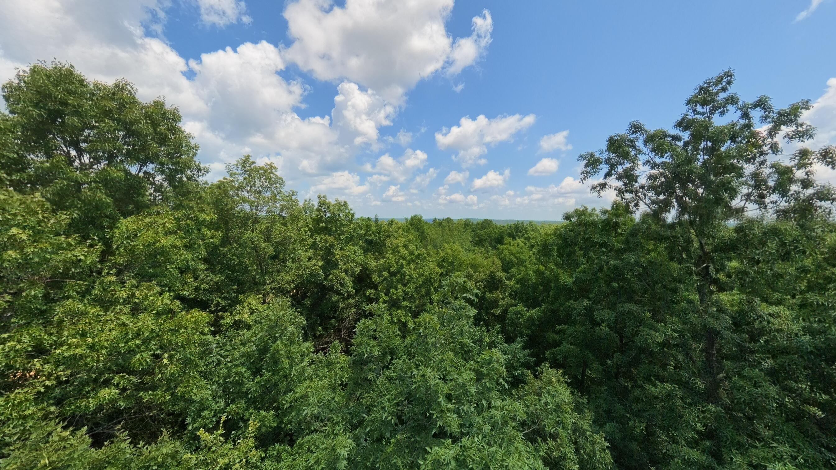 Photo 51 - Land for sale – 10824  Upper Janes Creek Road  Ravenden, AR