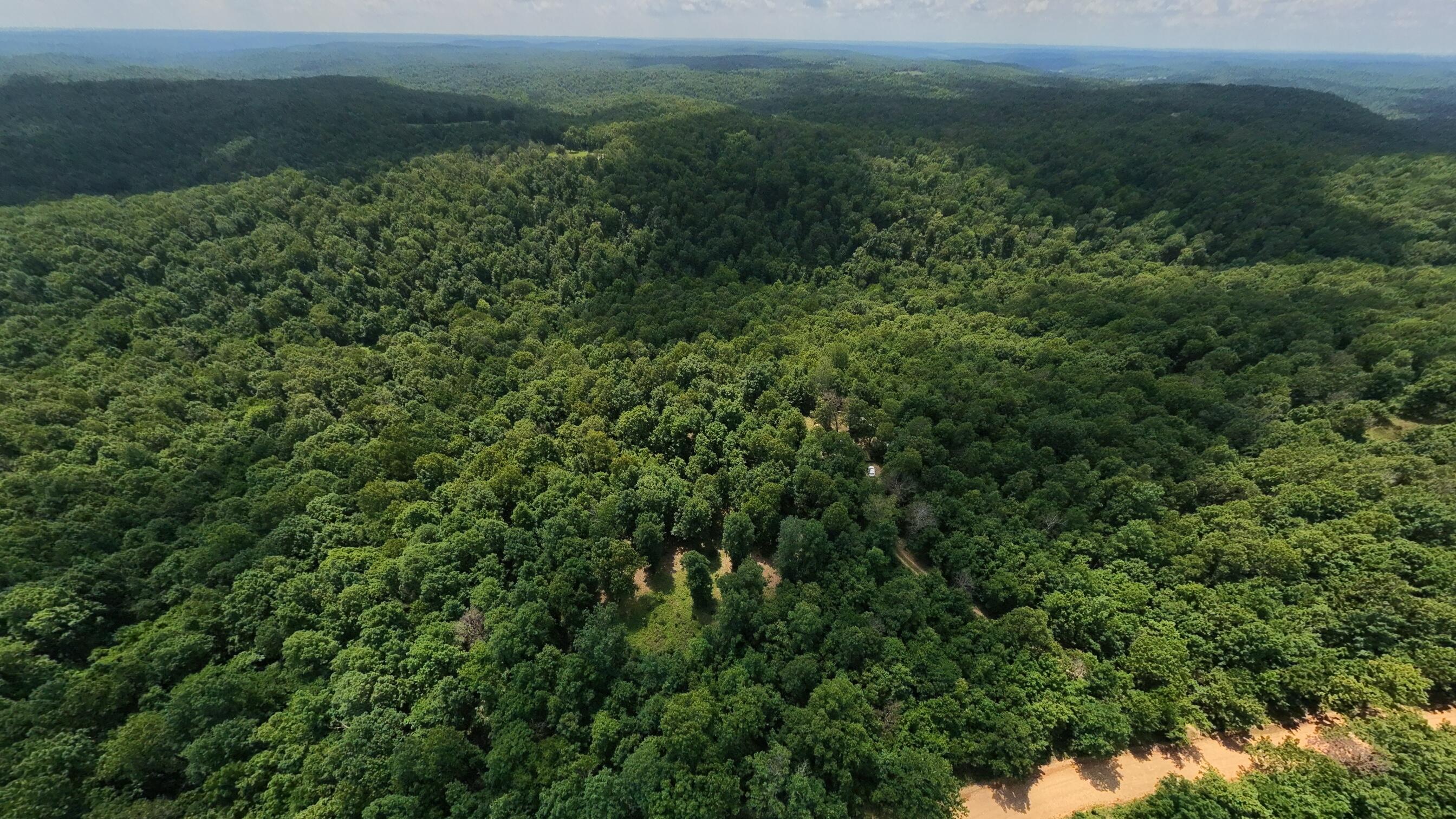 Photo 48 - Land for sale – 10824  Upper Janes Creek Road  Ravenden, AR