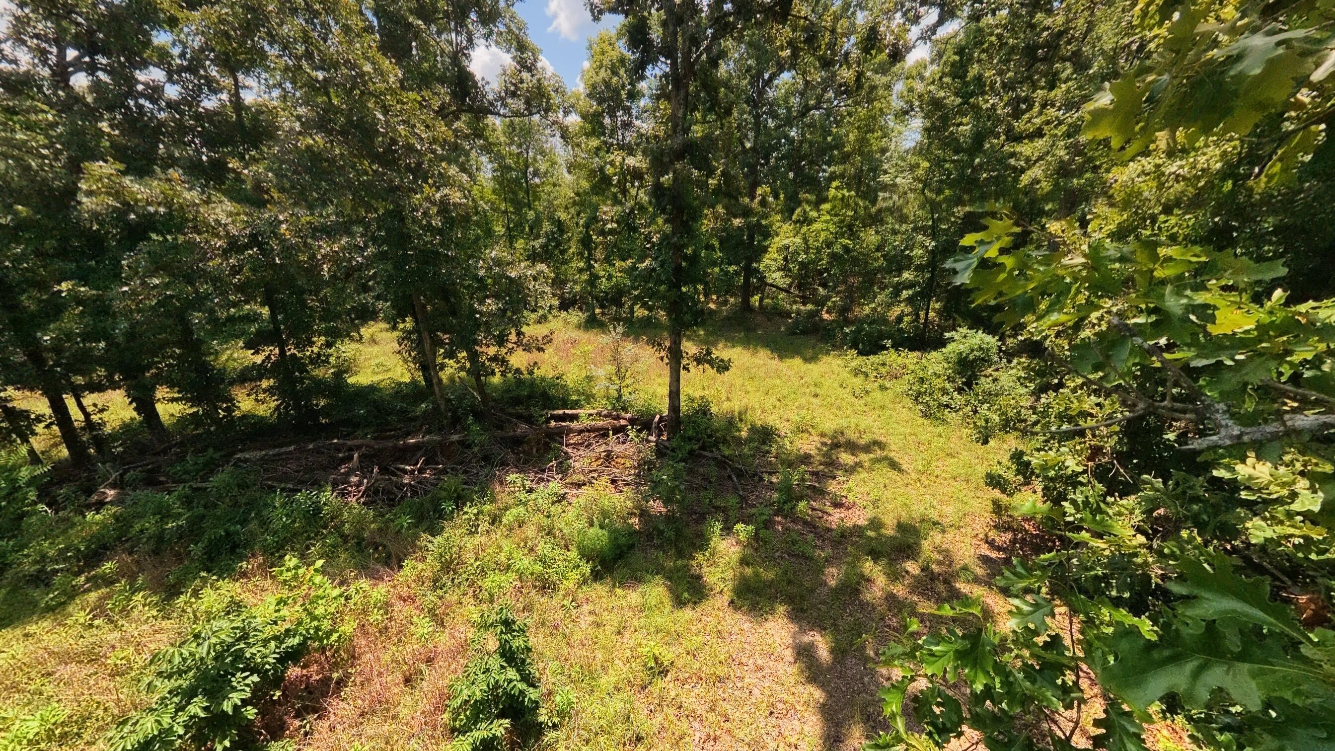 Photo 64 - Land for sale – 10824  Upper Janes Creek Road  Ravenden, AR