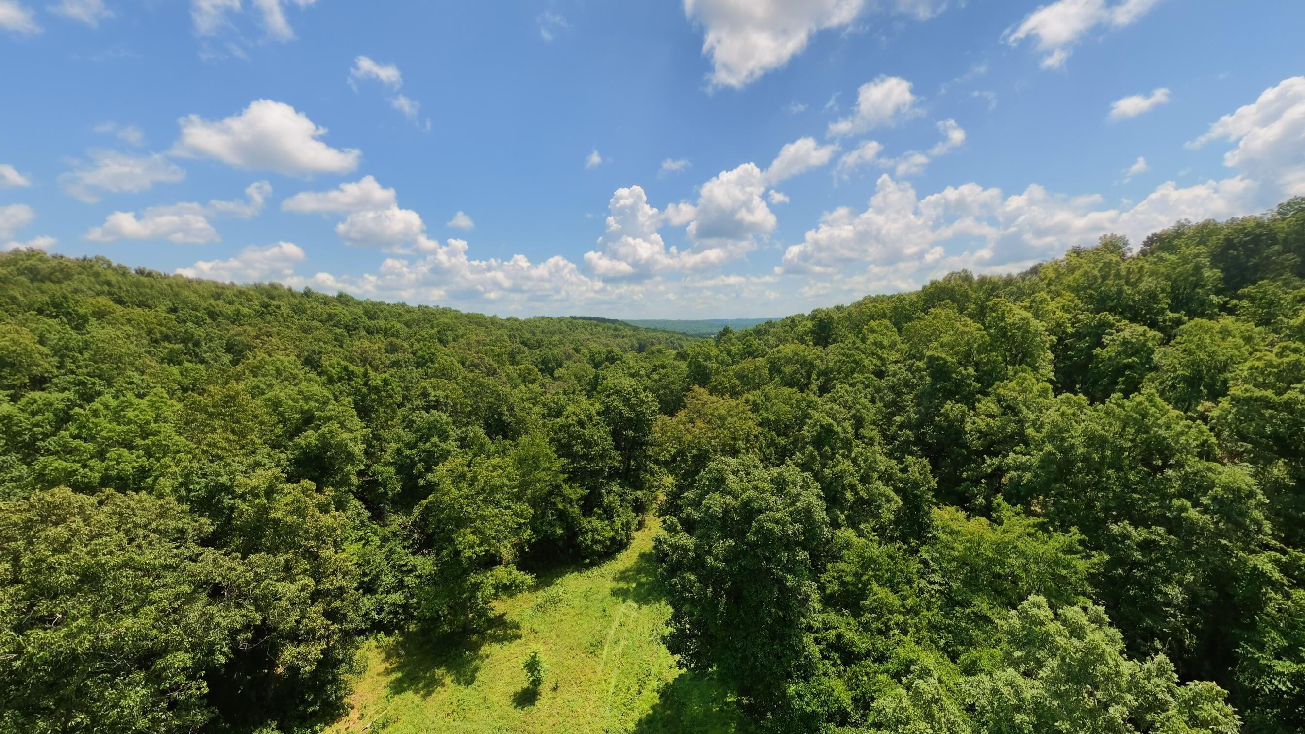 Photo 74 - Land for sale – 10824  Upper Janes Creek Road  Ravenden, AR