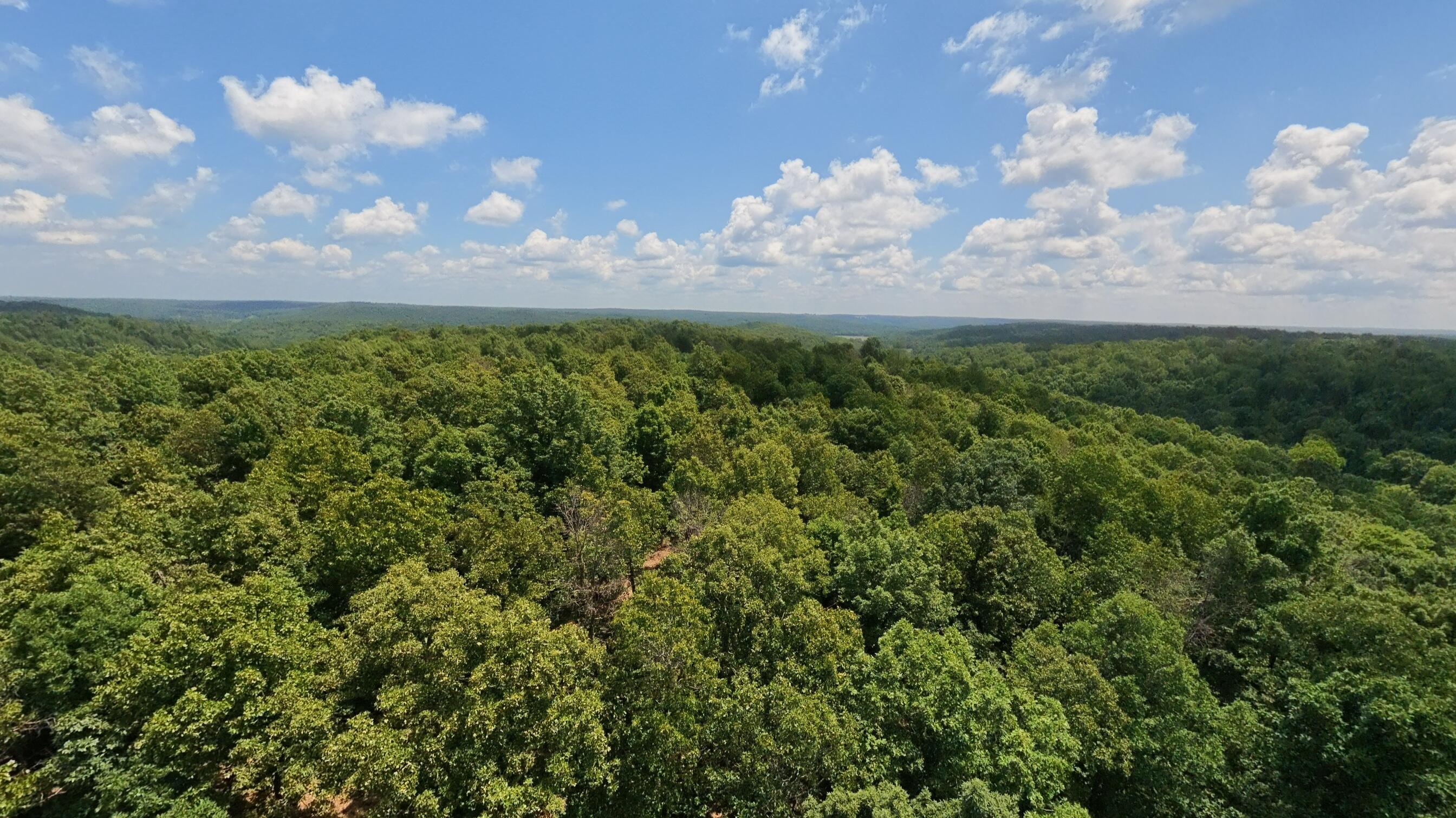 Photo 53 - Land for sale – 10824  Upper Janes Creek Road  Ravenden, AR