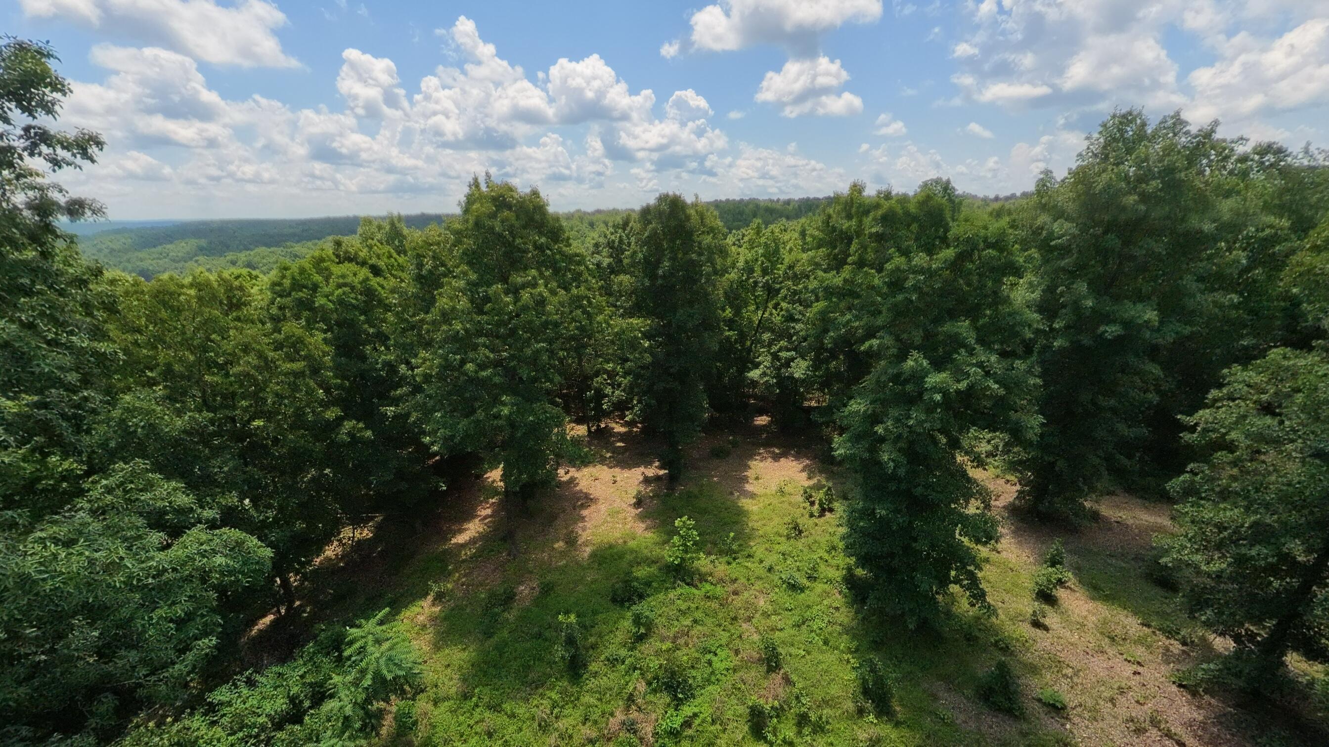 Photo 49 - Land for sale – 10824  Upper Janes Creek Road  Ravenden, AR