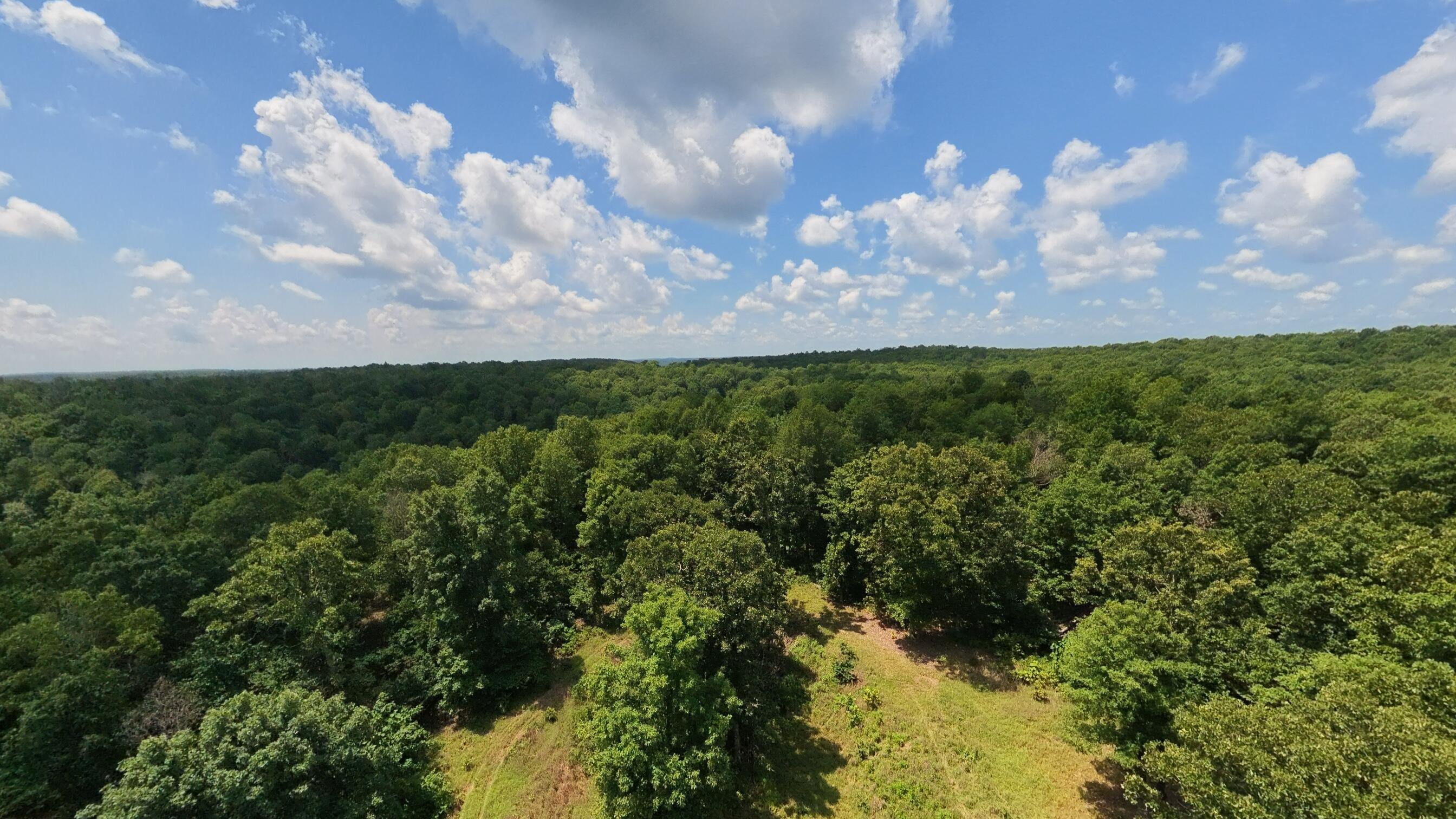 Land for sale – 10824  Upper Janes Creek Road  Ravenden, AR