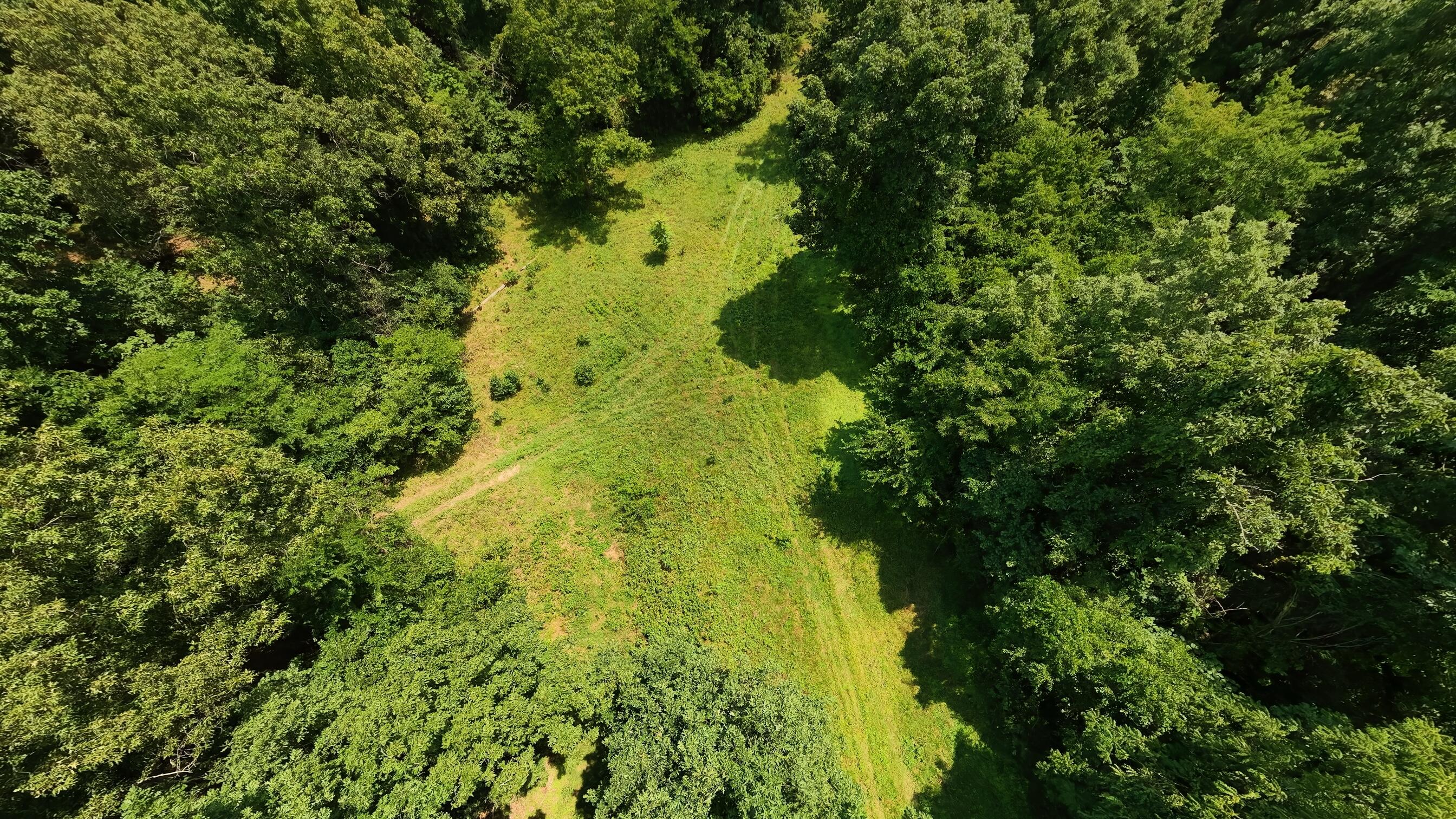 Photo 73 - Land for sale – 10824  Upper Janes Creek Road  Ravenden, AR