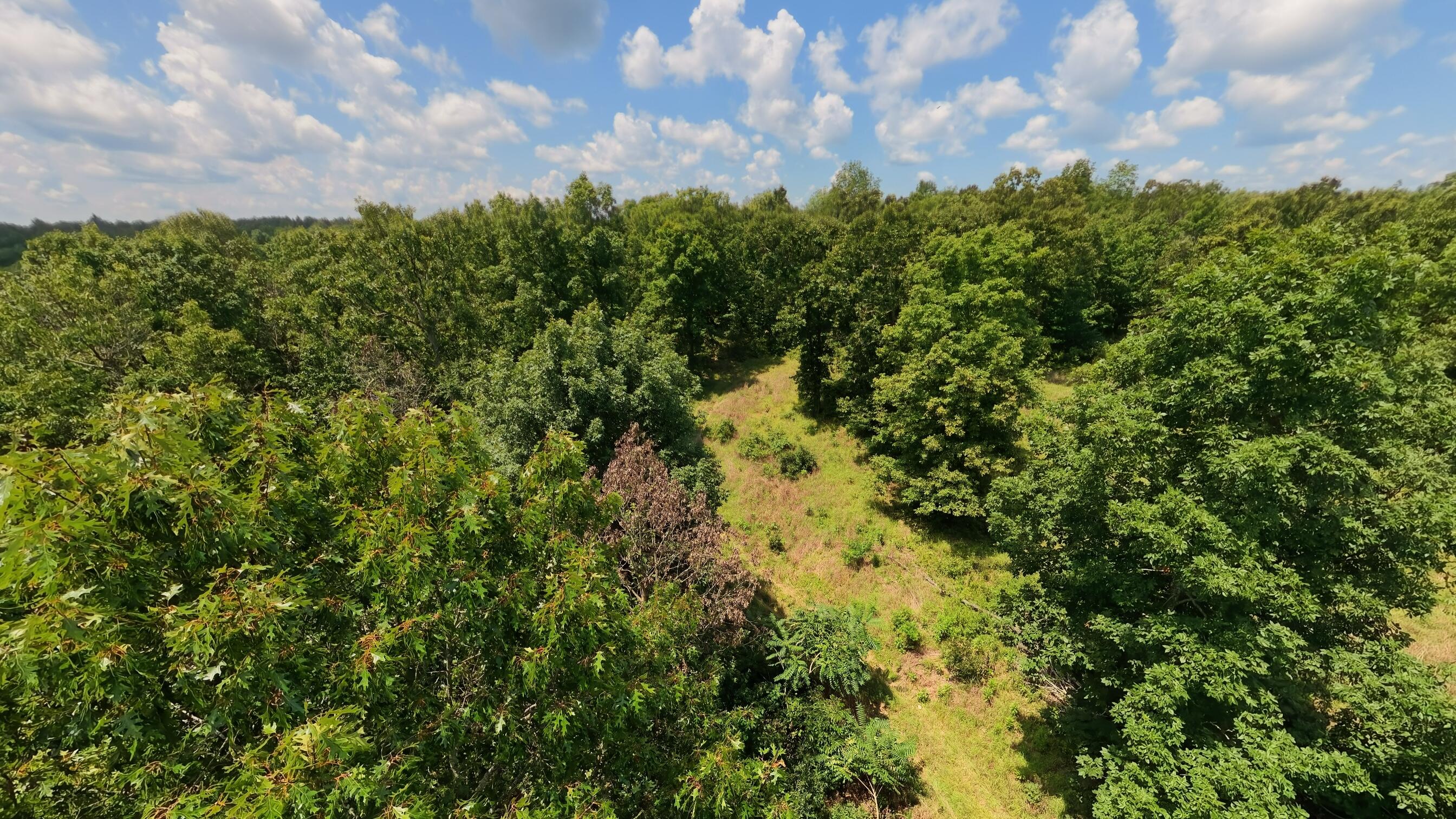Photo 58 - Land for sale – 10824  Upper Janes Creek Road  Ravenden, AR