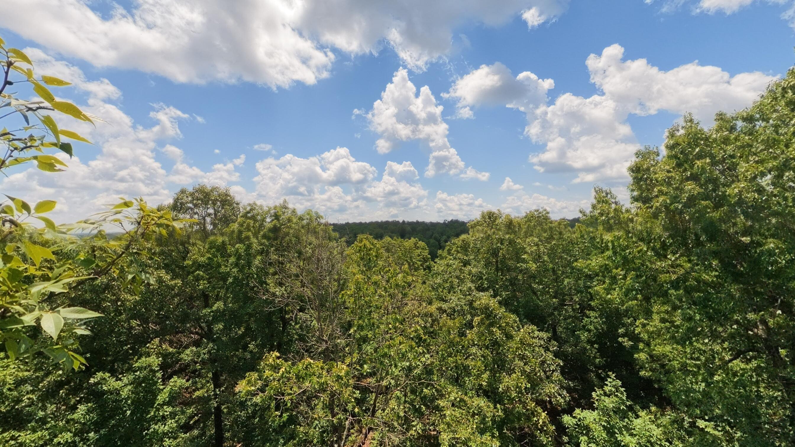 Photo 60 - Land for sale – 10824  Upper Janes Creek Road  Ravenden, AR