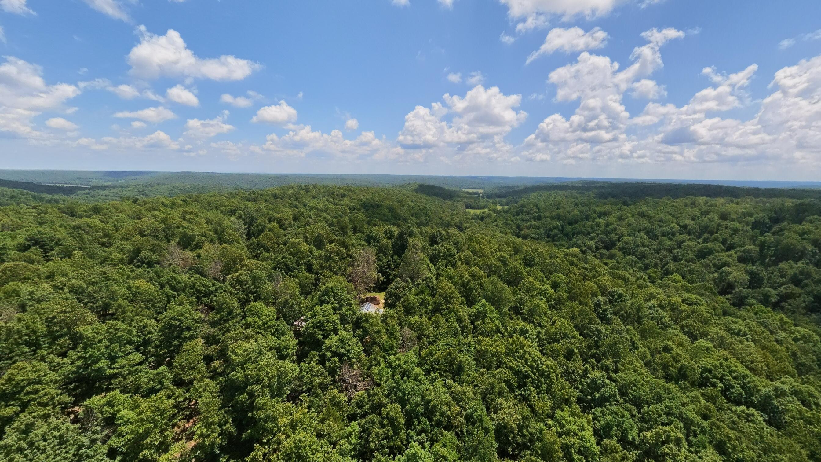 Photo 56 - Land for sale – 10824  Upper Janes Creek Road  Ravenden, AR