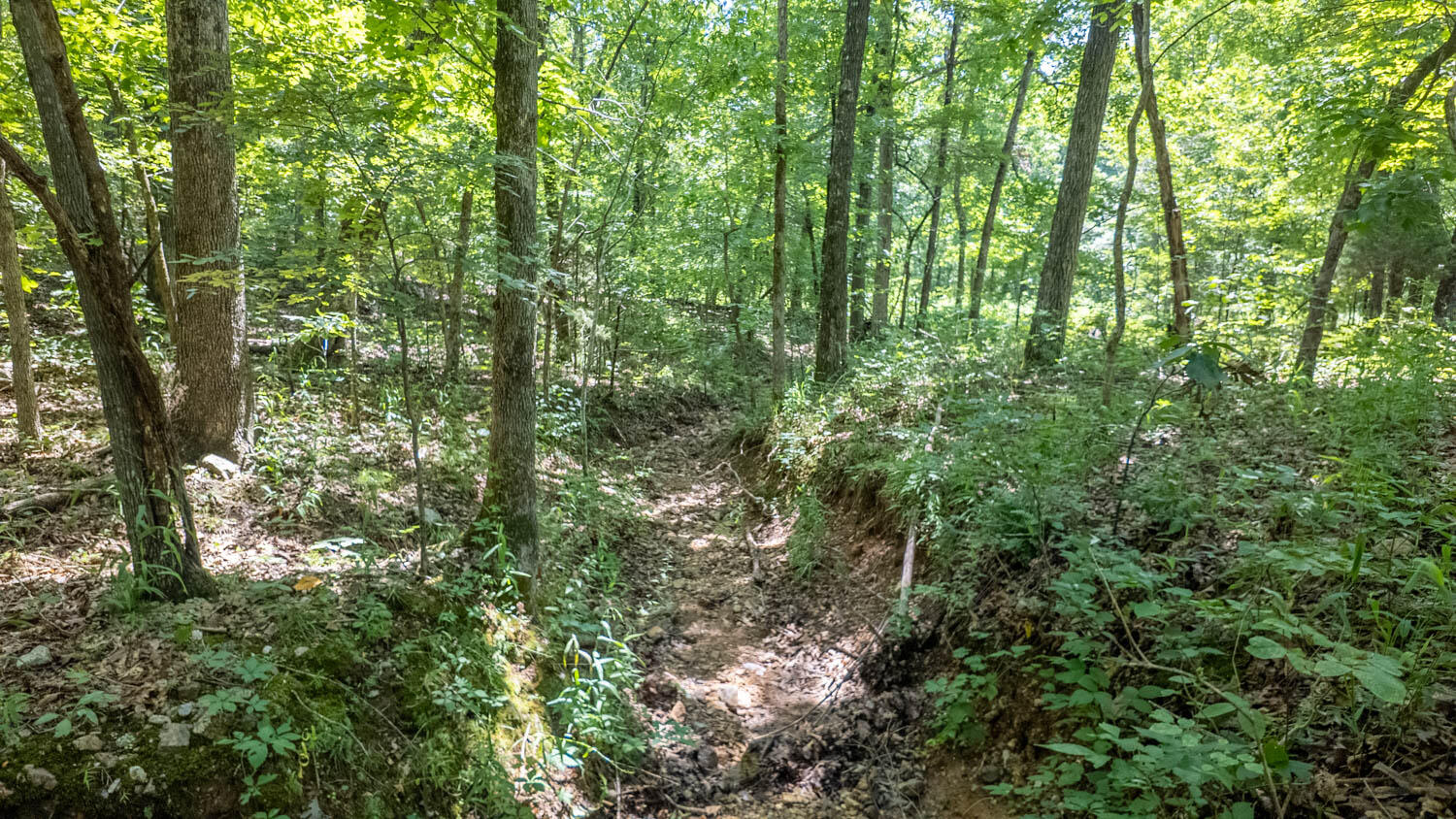 Photo 23 - Land for sale – 10824  Upper Janes Creek Road  Ravenden, AR