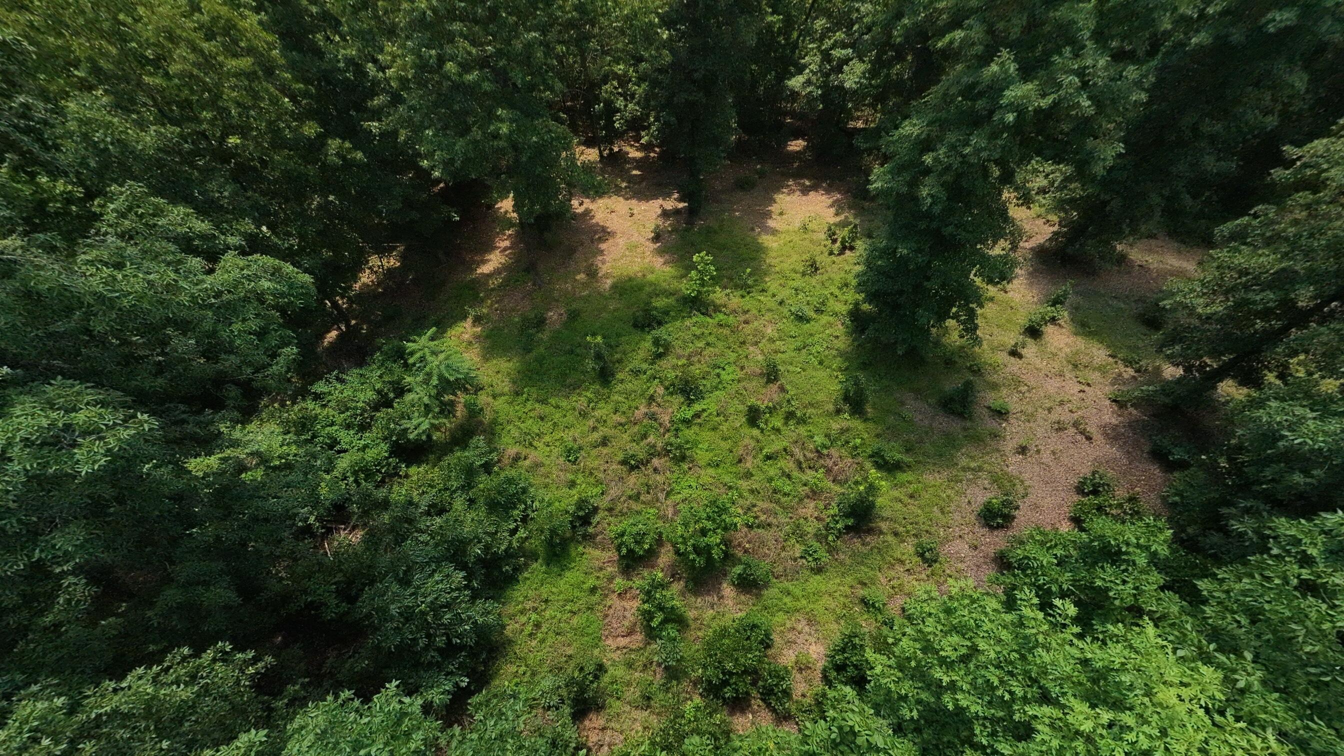 Photo 50 - Land for sale – 10824  Upper Janes Creek Road  Ravenden, AR
