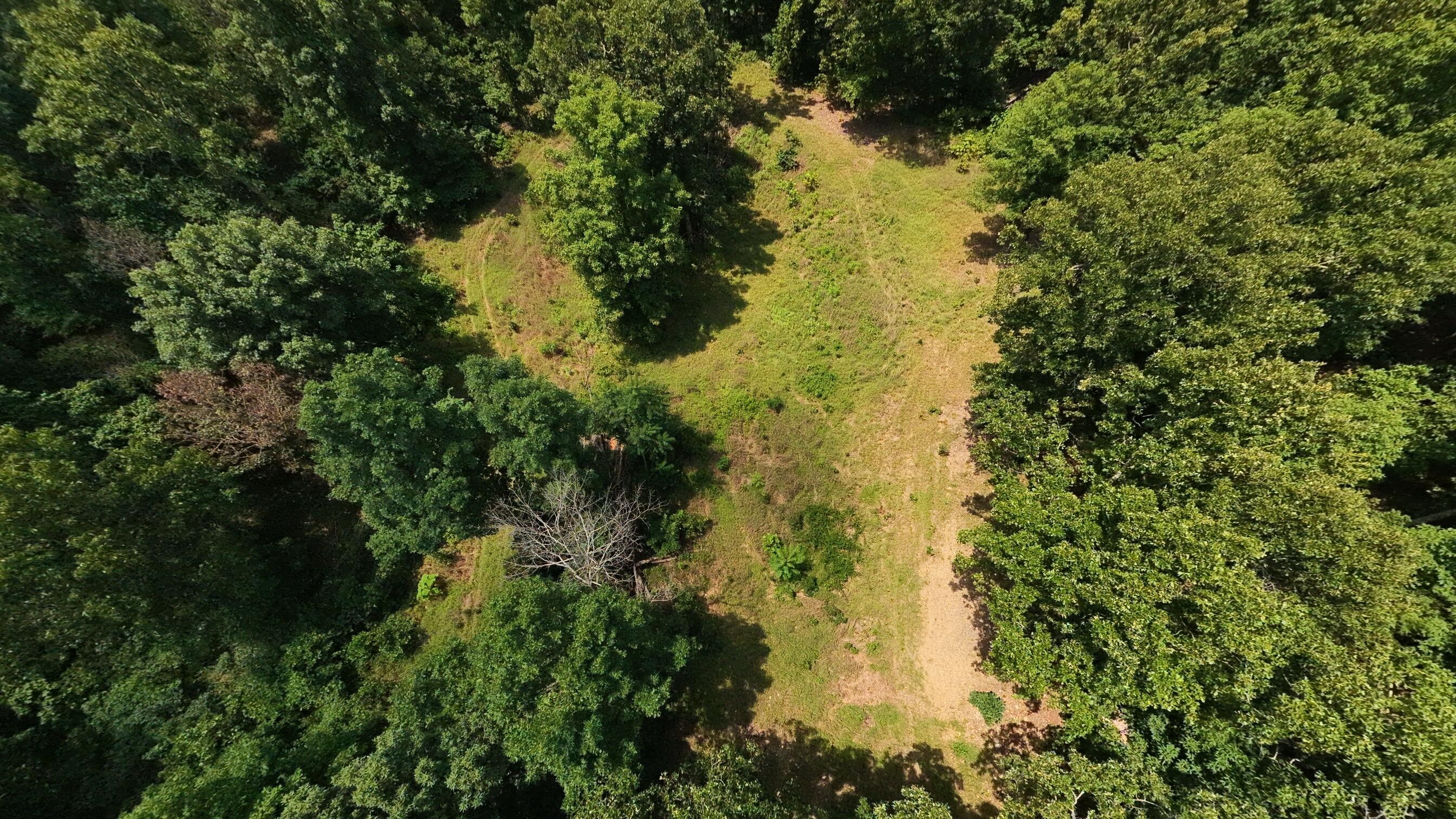 Photo 52 - Land for sale – 10824  Upper Janes Creek Road  Ravenden, AR