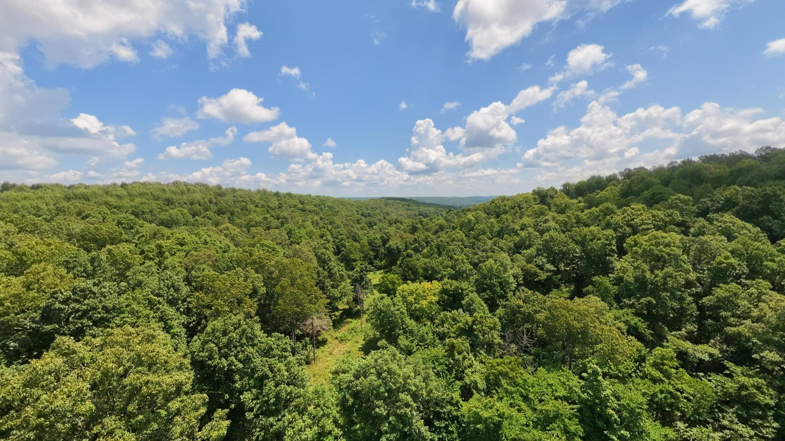 Photo 70 - Land for sale – 10824  Upper Janes Creek Road  Ravenden, AR