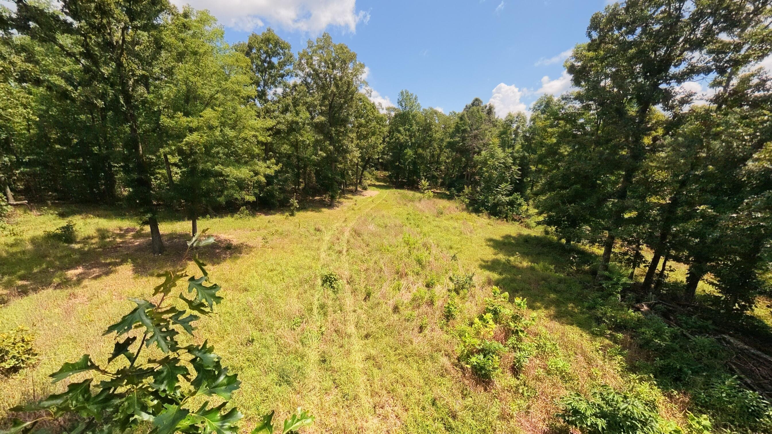 Photo 62 - Land for sale – 10824  Upper Janes Creek Road  Ravenden, AR