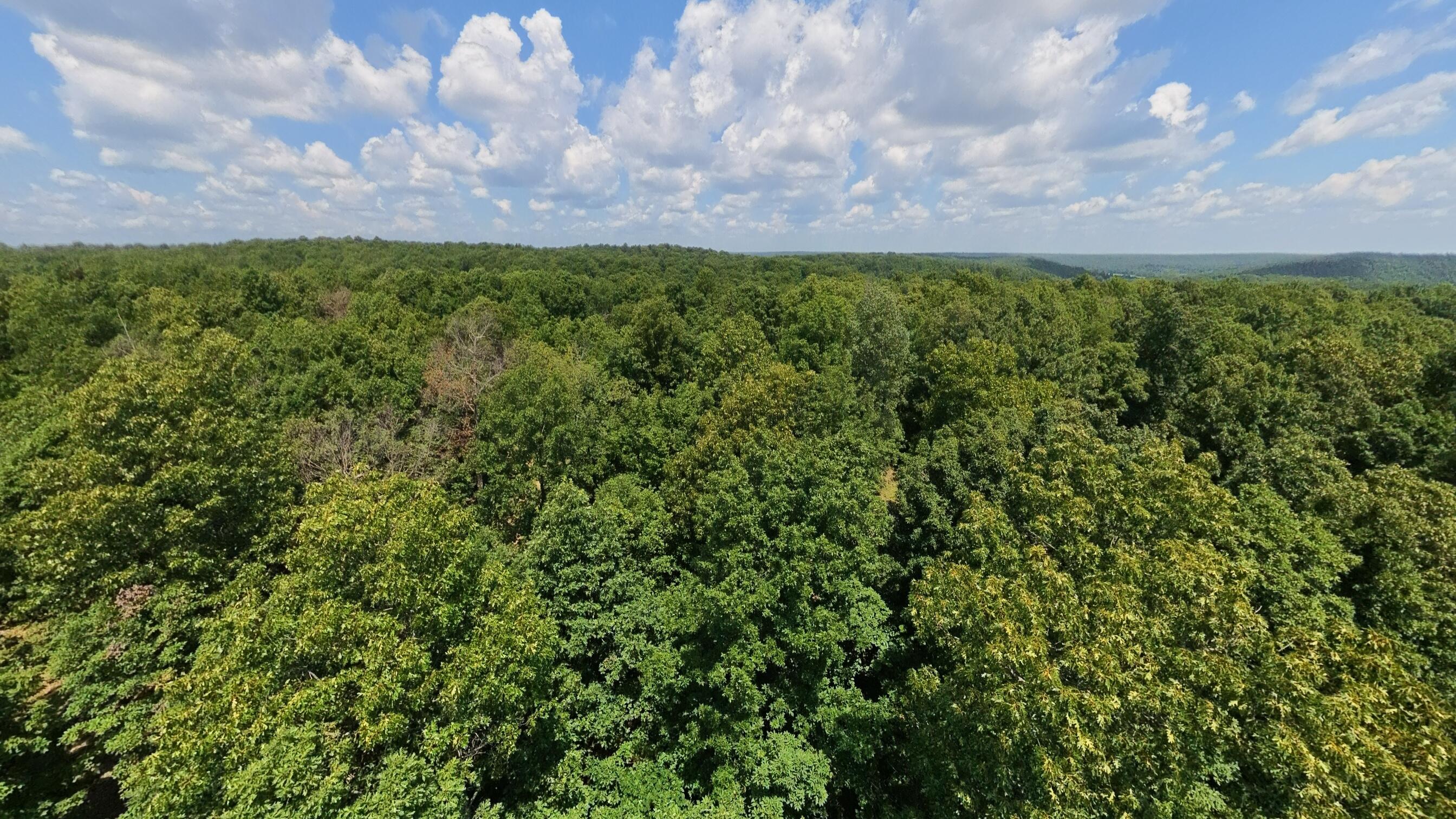 Photo 78 - Land for sale – 10824  Upper Janes Creek Road  Ravenden, AR