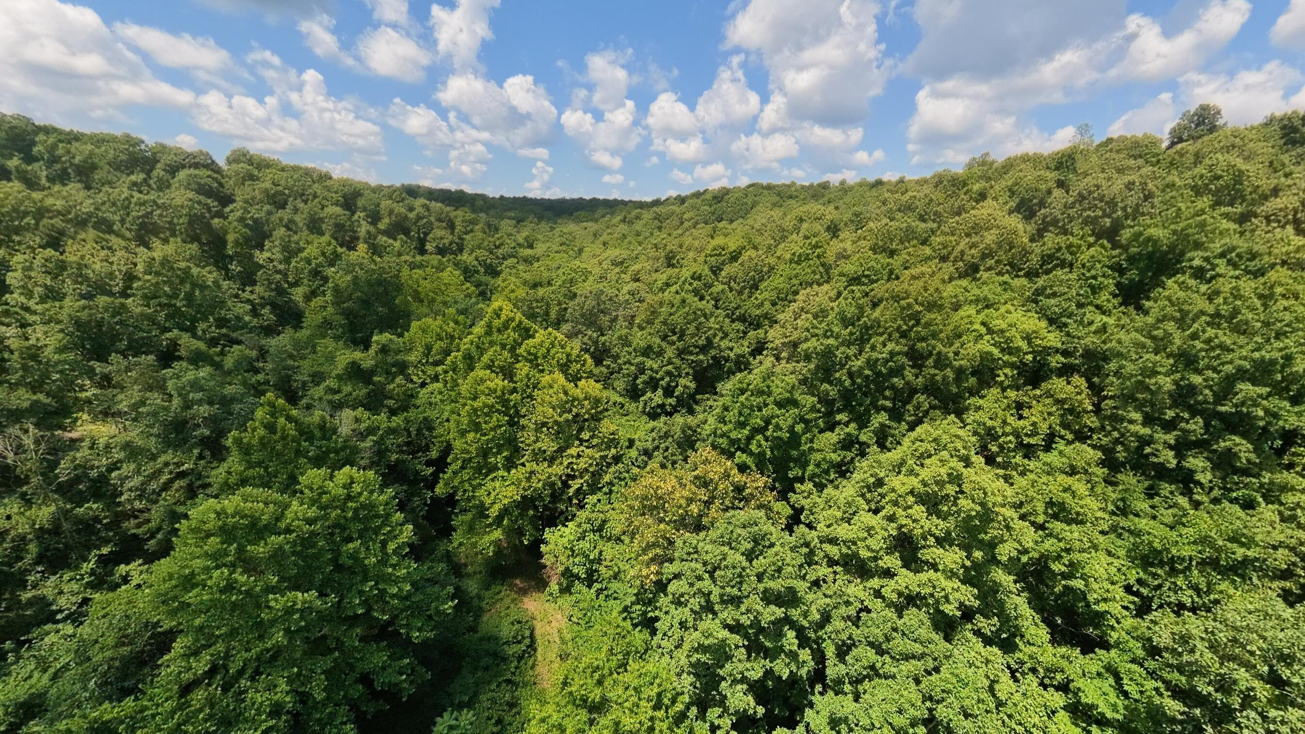 Photo 72 - Land for sale – 10824  Upper Janes Creek Road  Ravenden, AR