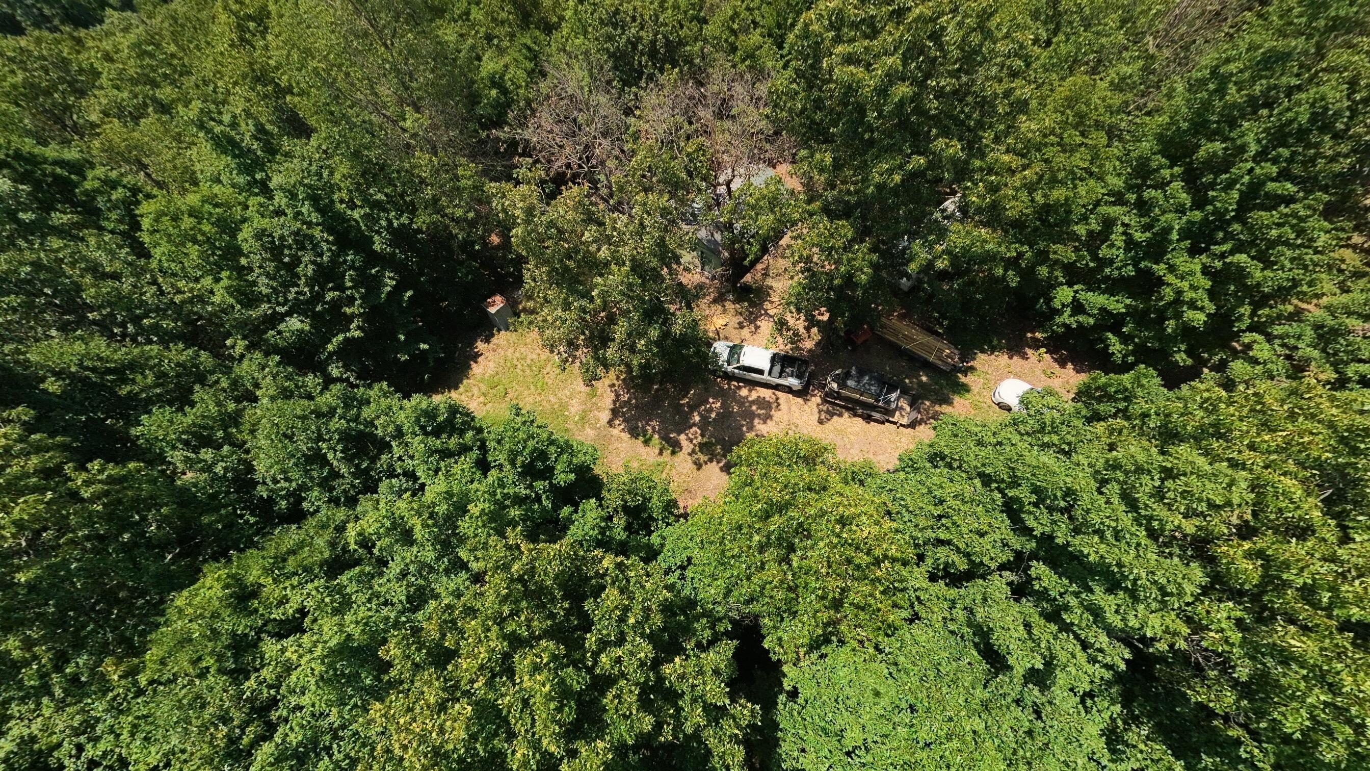 Photo 79 - Land for sale – 10824  Upper Janes Creek Road  Ravenden, AR