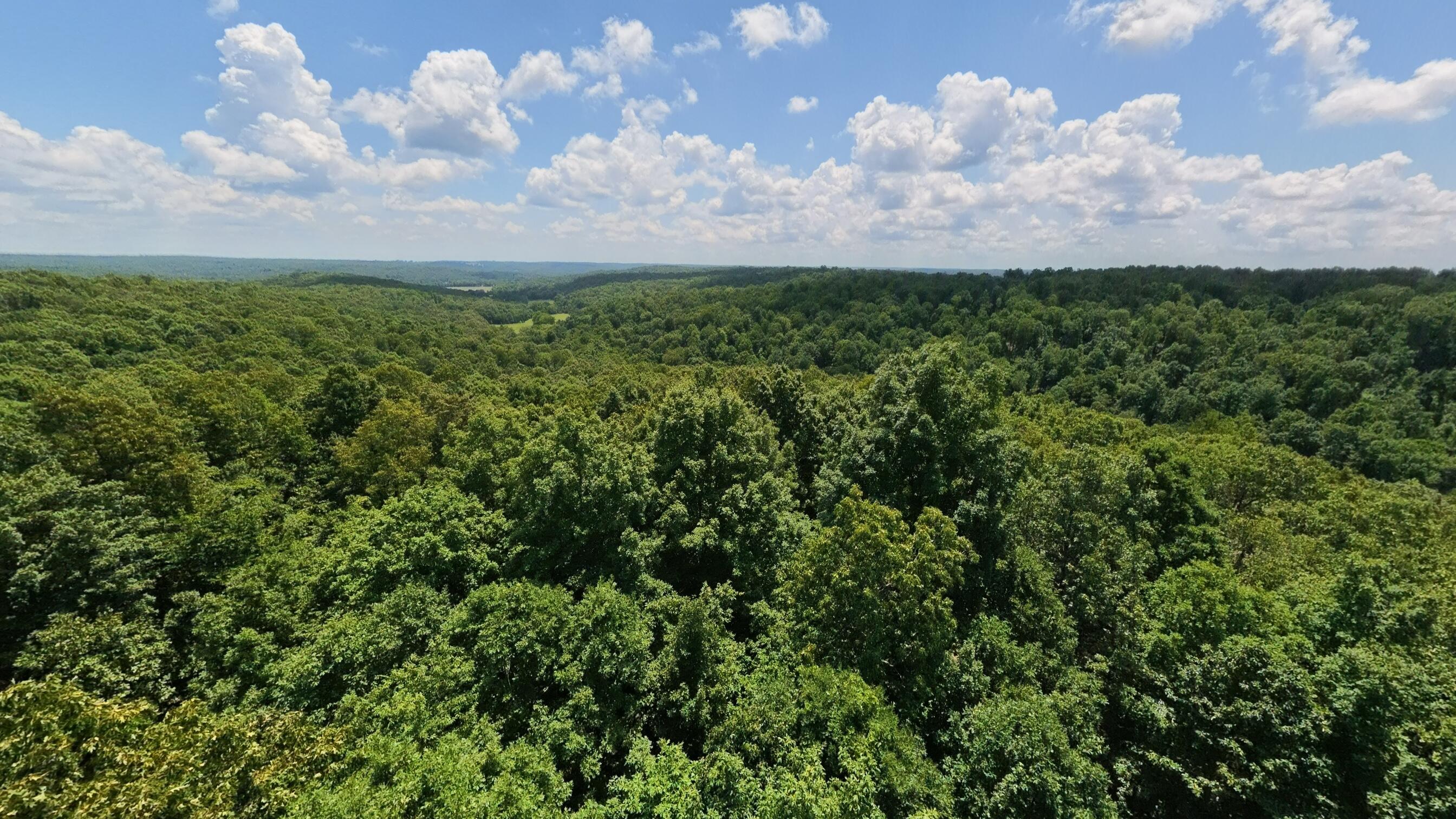 Photo 77 - Land for sale – 10824  Upper Janes Creek Road  Ravenden, AR