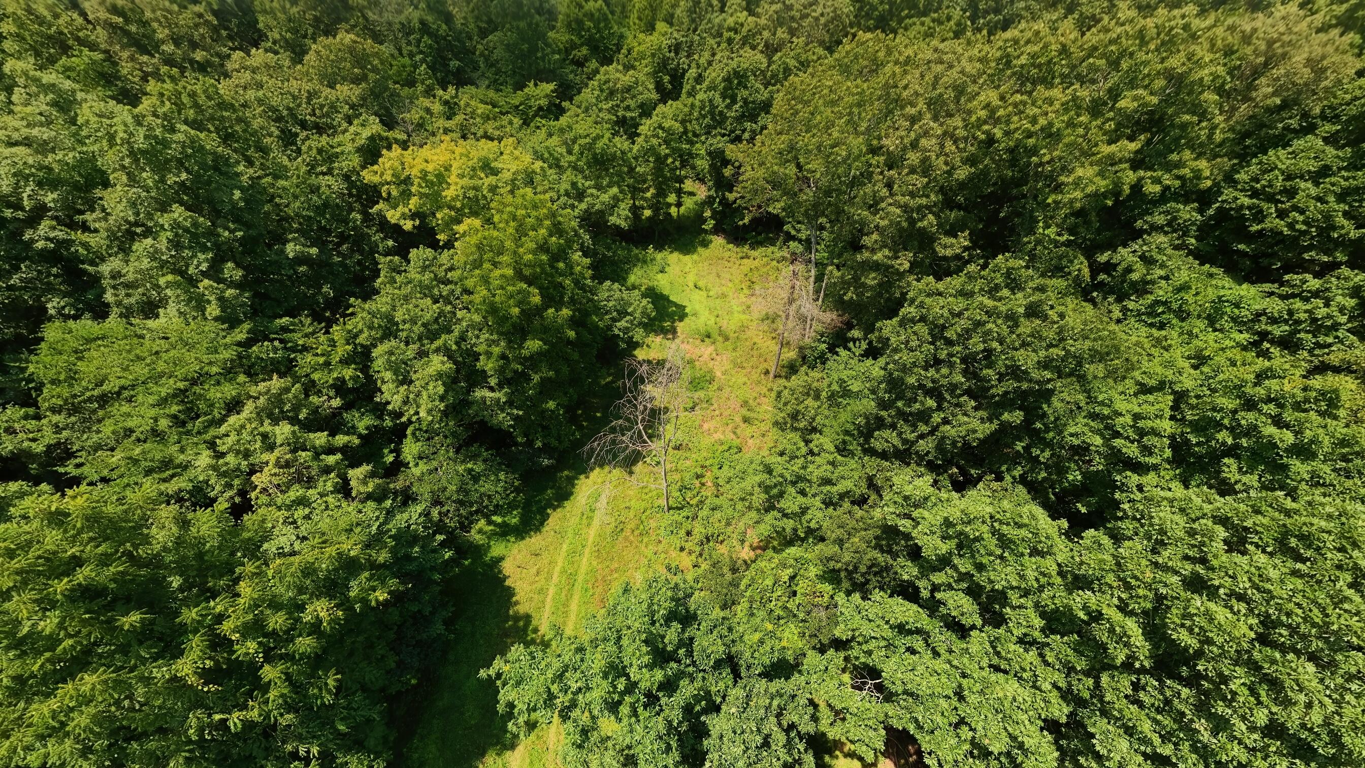 Photo 75 - Land for sale – 10824  Upper Janes Creek Road  Ravenden, AR