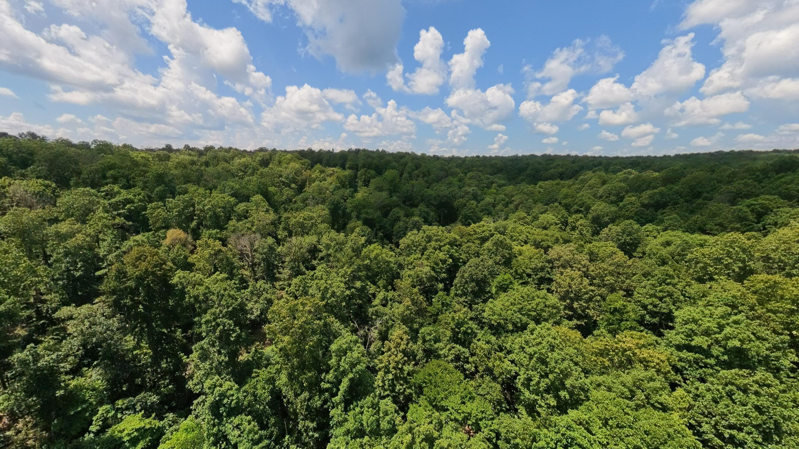 Photo 67 - Land for sale – 10824  Upper Janes Creek Road  Ravenden, AR