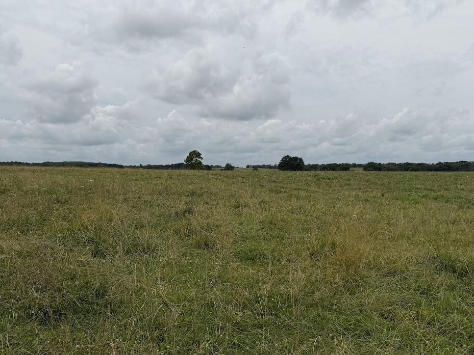 Land for sale – Tract 4  State Route T   Bolivar, MO