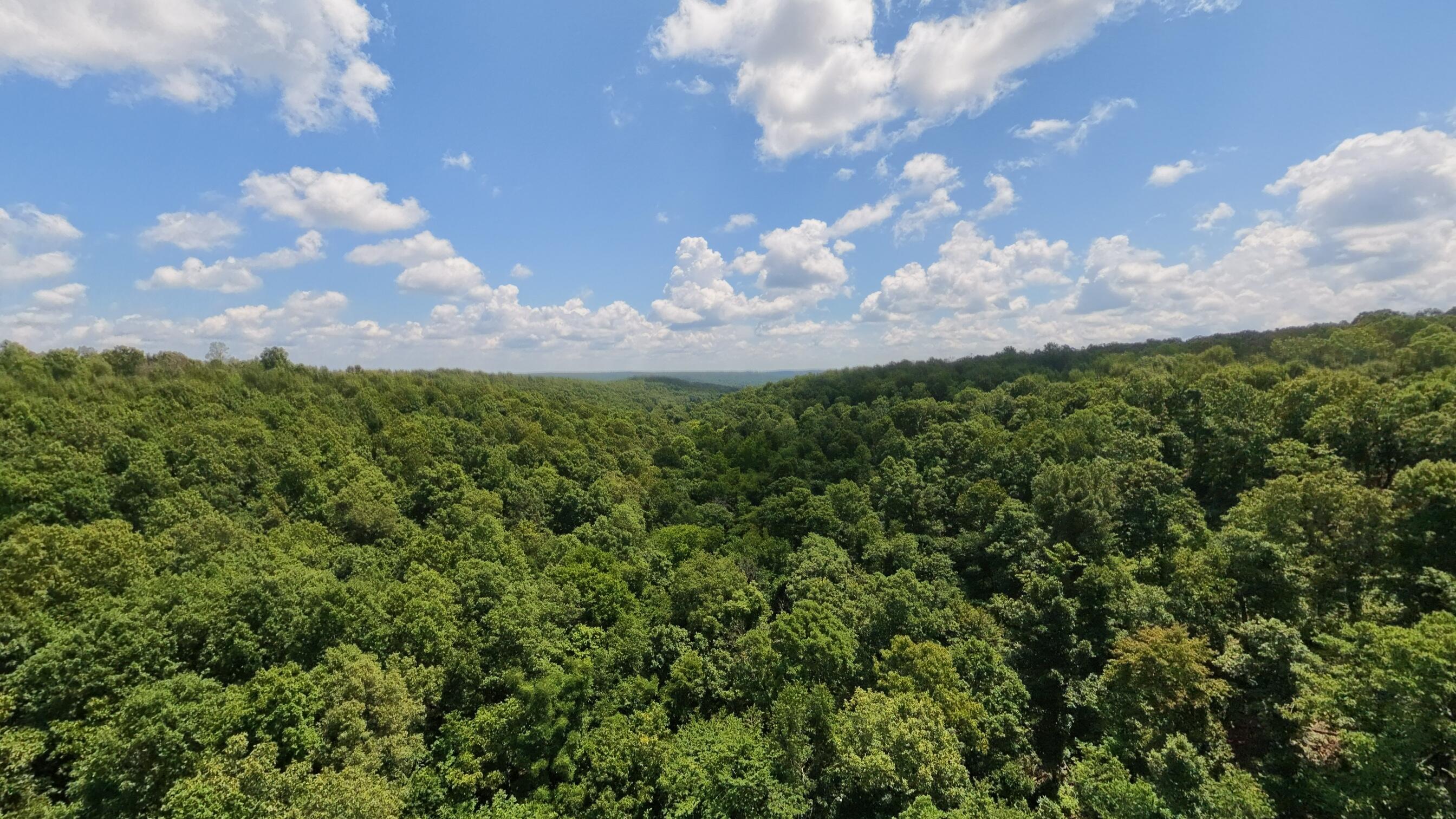Photo 15 - Land for sale – Tract 1  Upper Janes Creek Road  Ravenden, AR