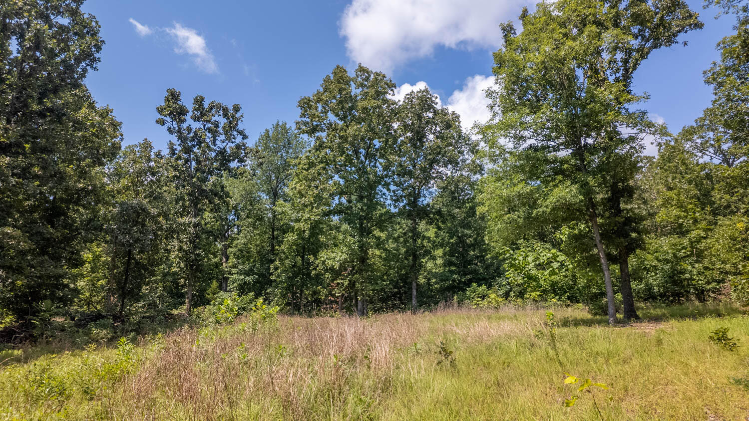 Photo 7 - Land for sale – Tract 1  Upper Janes Creek Road  Ravenden, AR