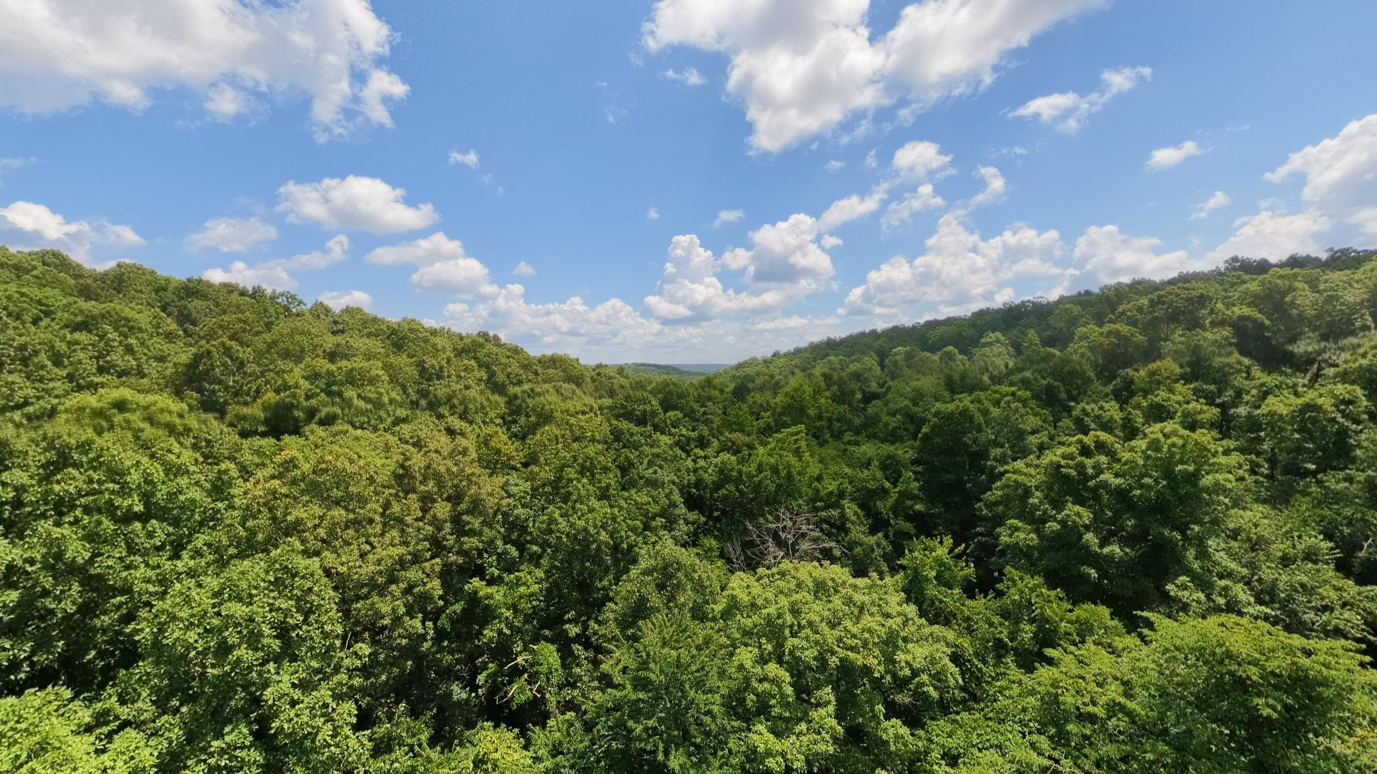 Photo 17 - Land for sale – Tract 1  Upper Janes Creek Road  Ravenden, AR